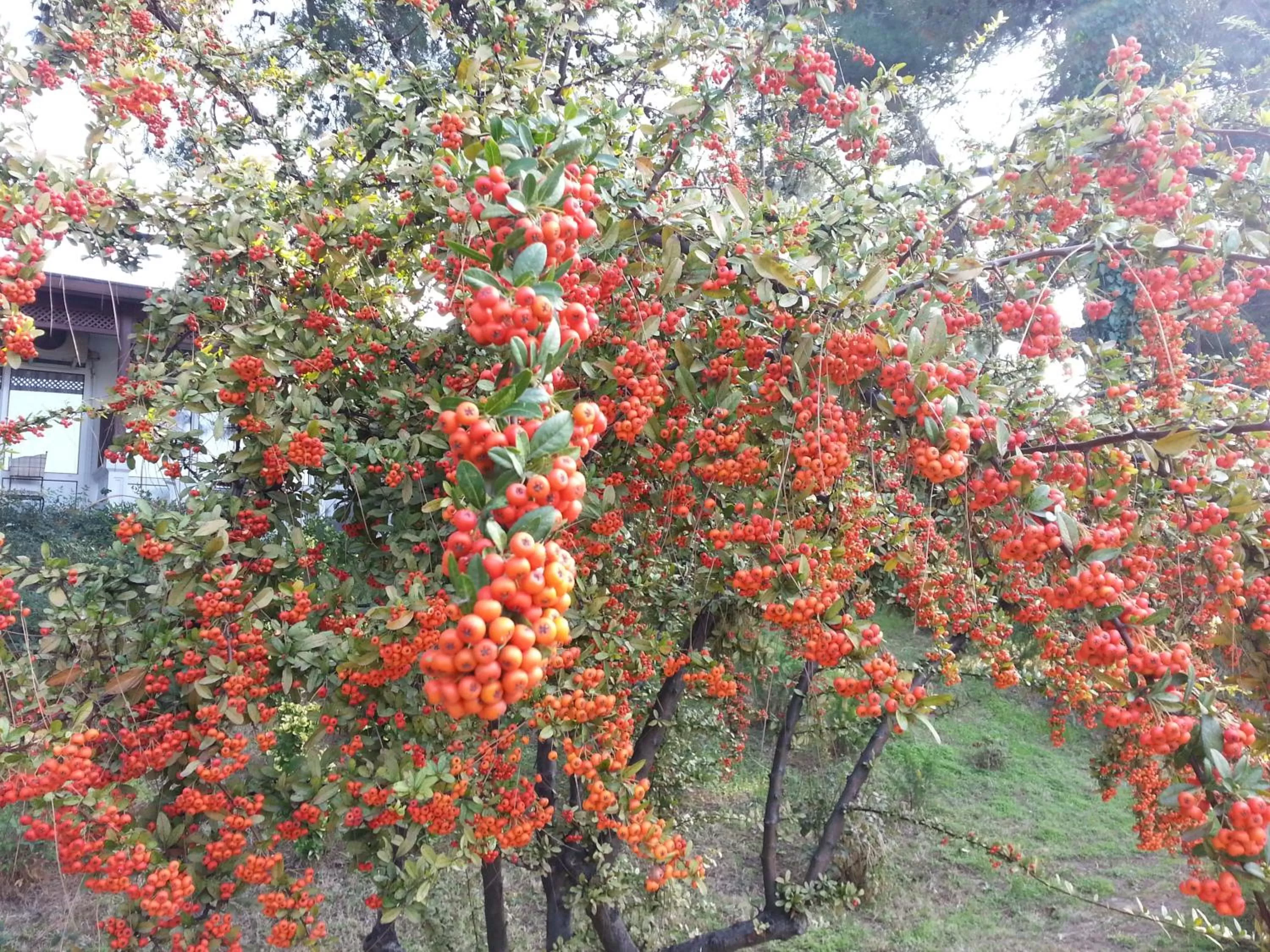 Facade/entrance in Troia Tusan Hotel