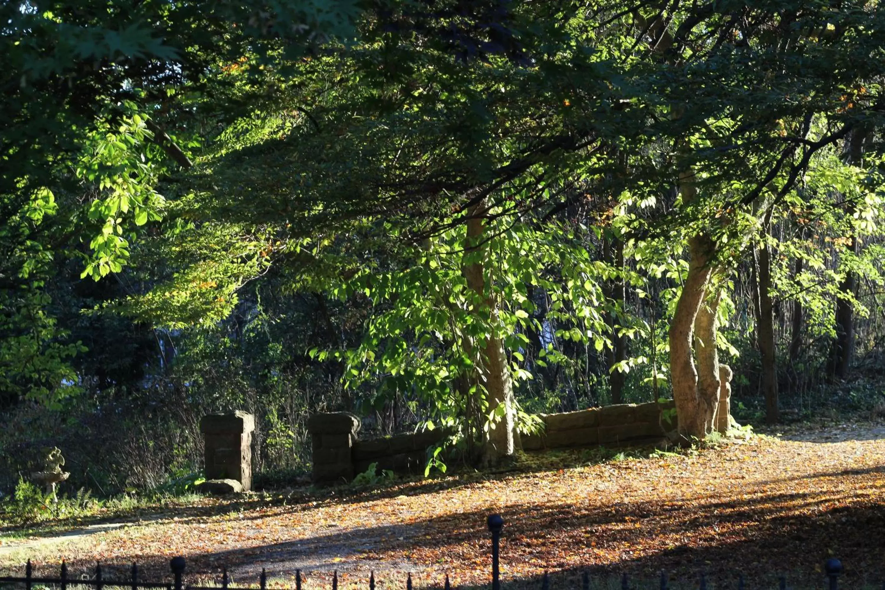 Natural landscape, Garden in The Emig Mansion