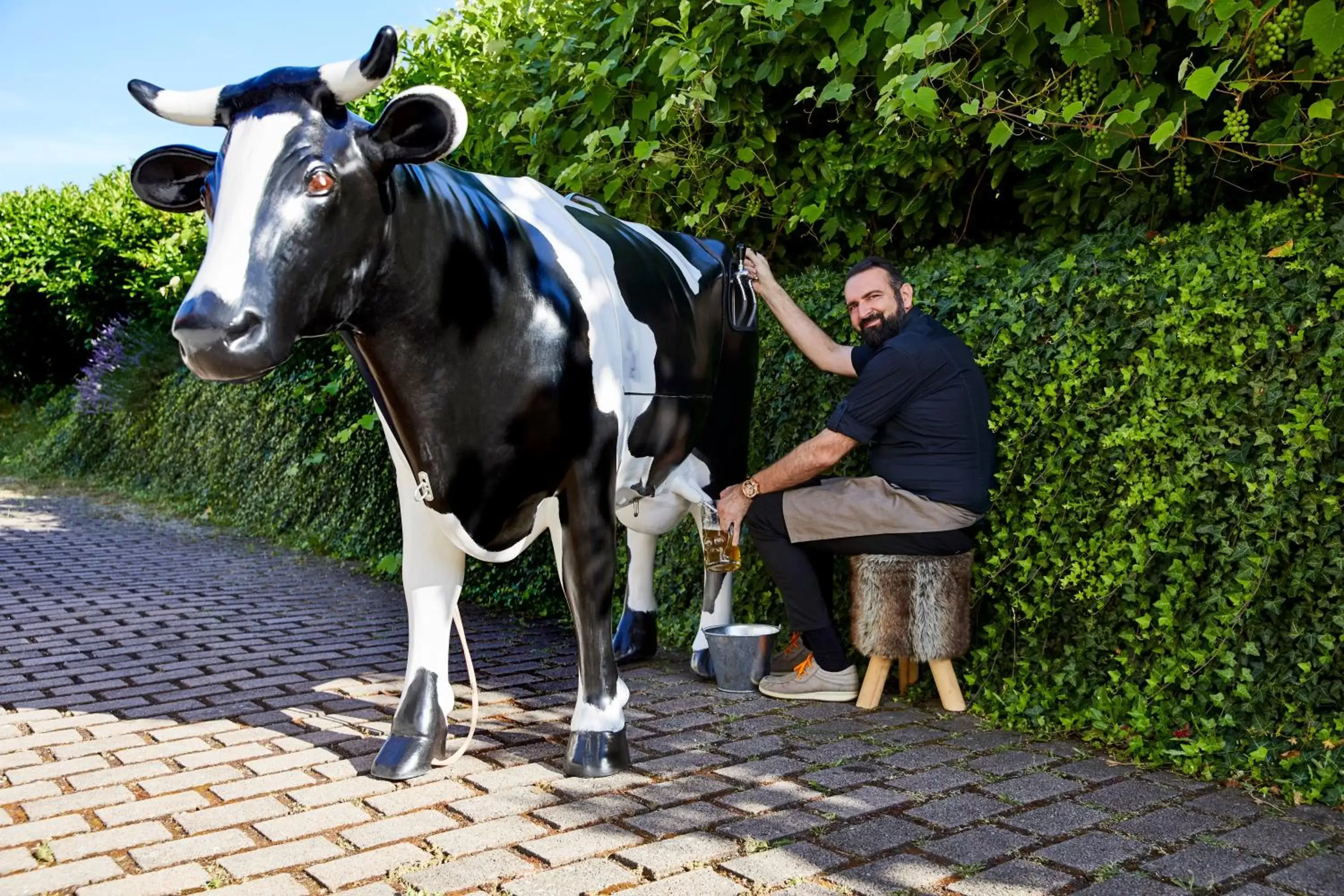 Garden, Other Animals in Sonnenhof