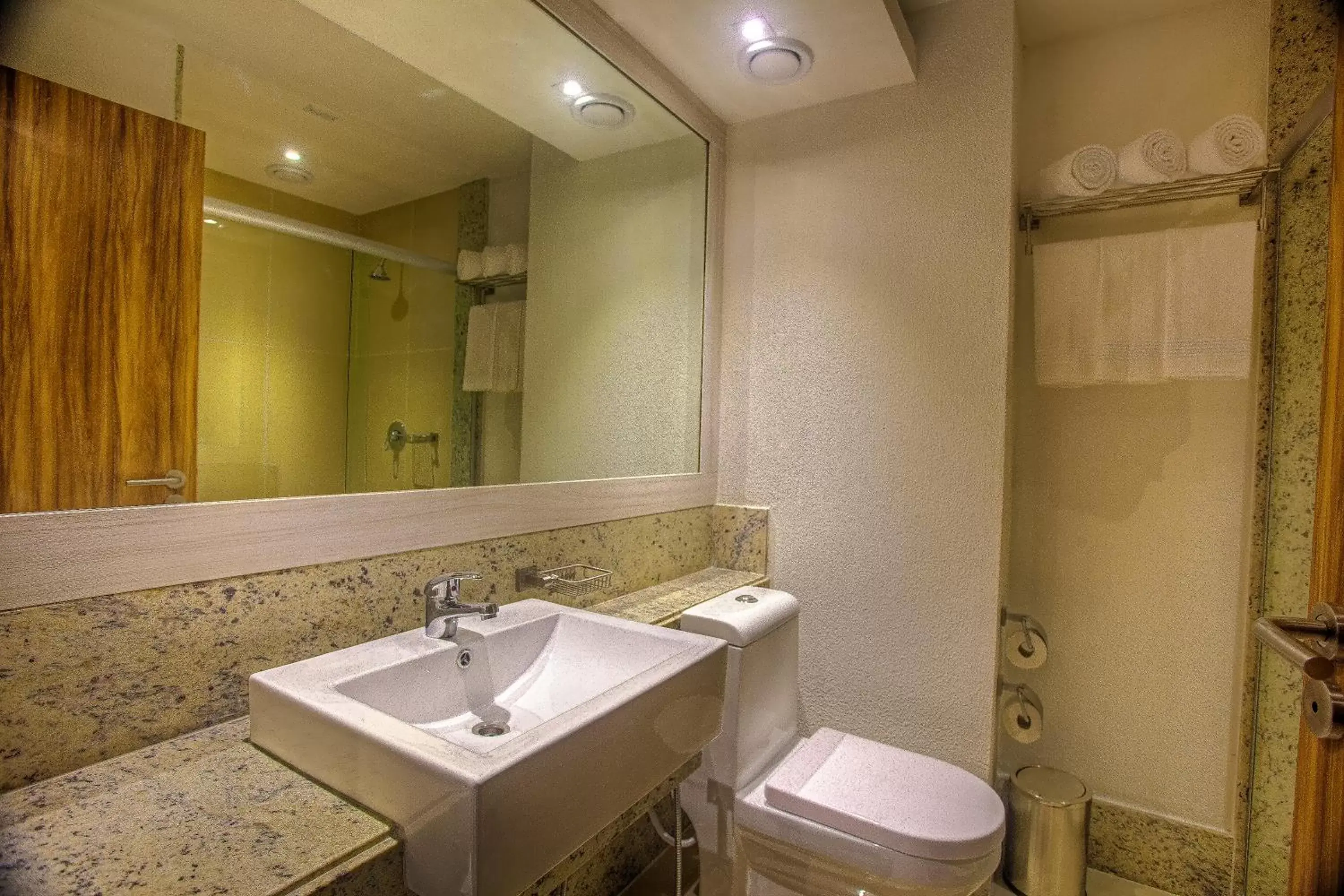 Bathroom in Holiday Inn Natal, an IHG Hotel