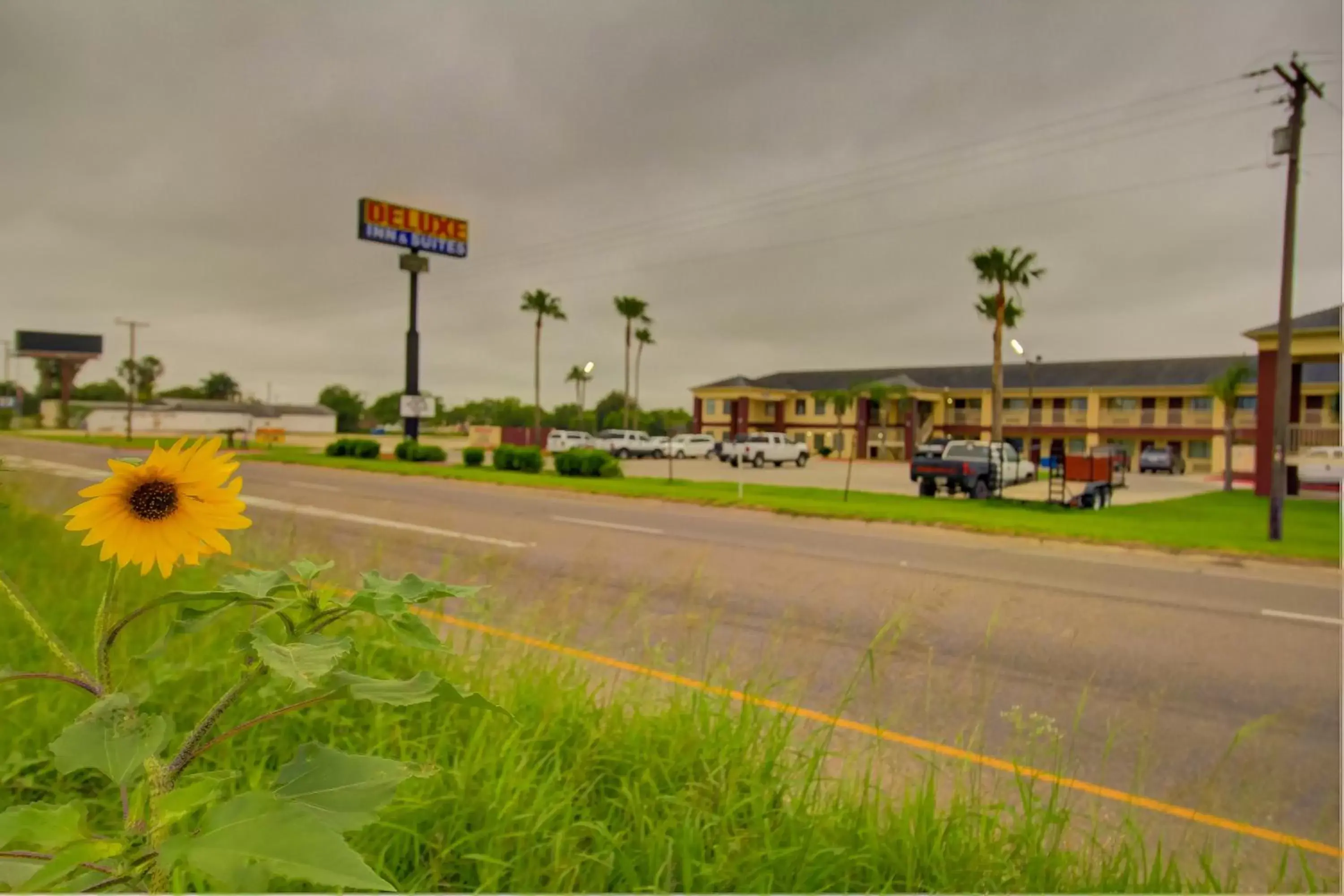 Natural landscape, Neighborhood in Deluxe Inn and Suites