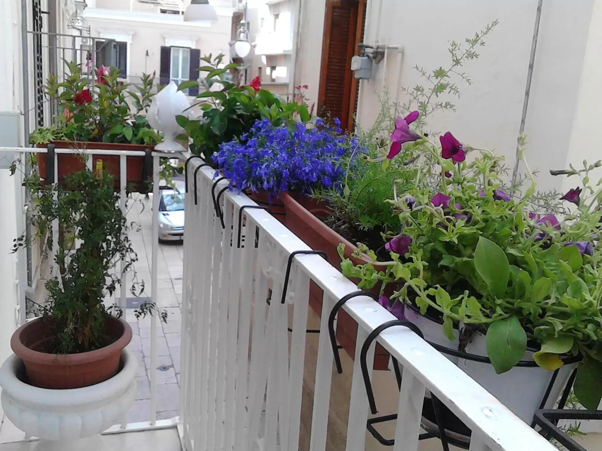 Balcony/Terrace in Le dimore delle stelle