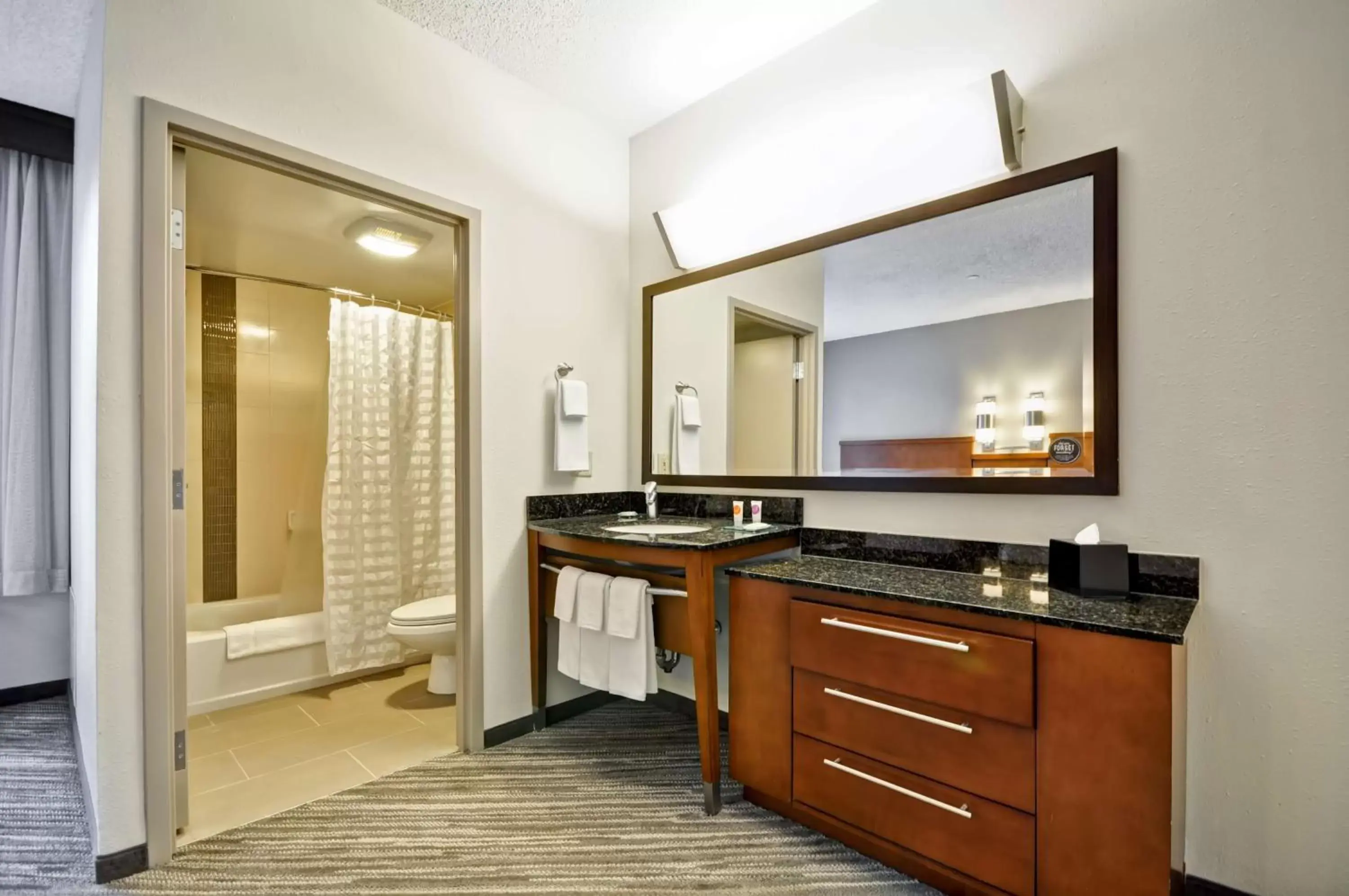 Bathroom in Hyatt Place Tampa Airport/Westshore