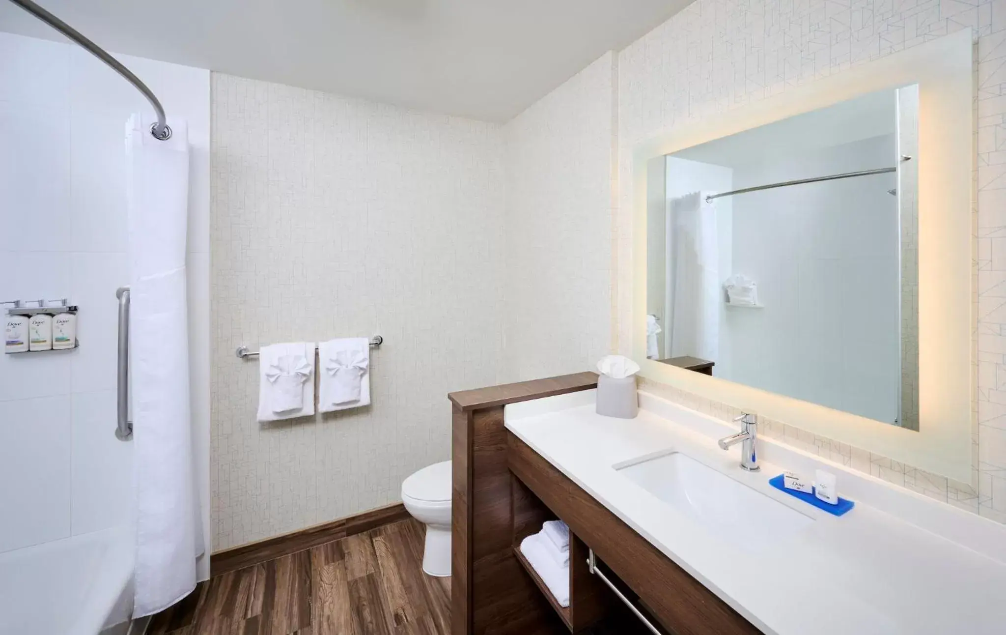 Bathroom in Holiday Inn Express & Suites - Brantford, an IHG Hotel