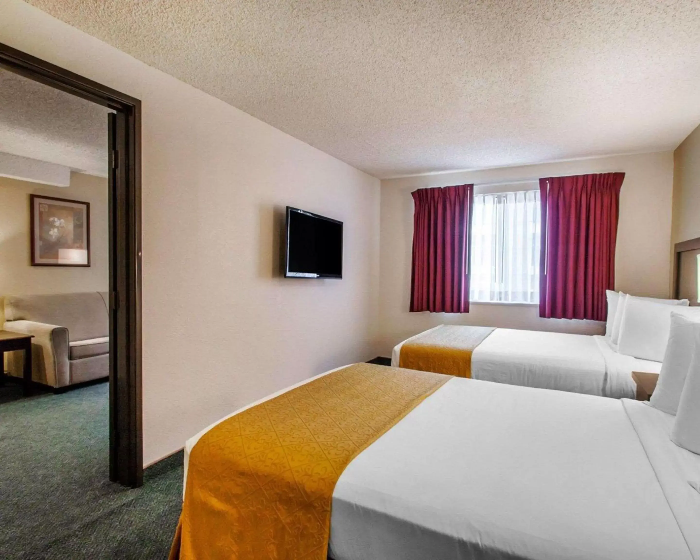 Photo of the whole room, Bed in Quality Inn & Suites Springfield