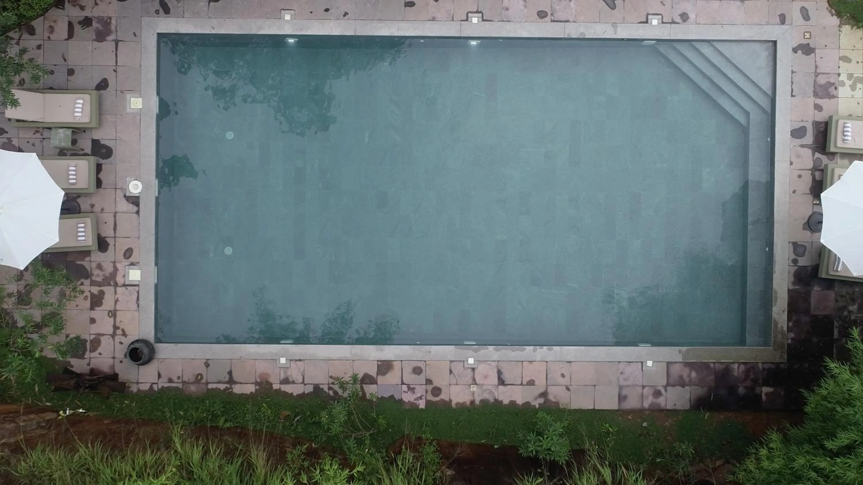 Swimming pool in AMARA AYURVEDA RETREAT- Overlooking Evergreen Western Ghats an ecologically sustainable living space in Kovalam