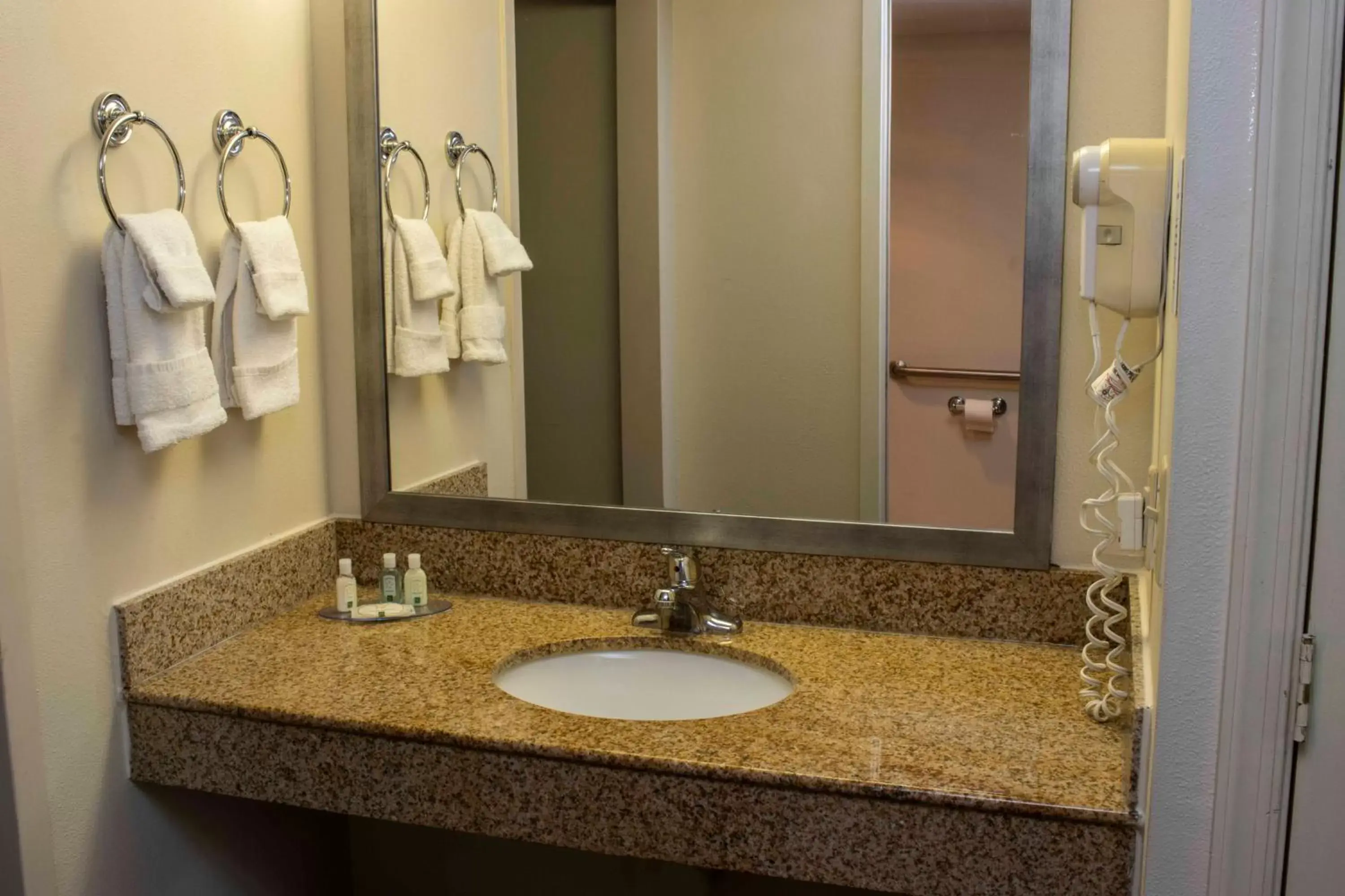 Bathroom in Quality Suites Lake Wright Norfolk Airport