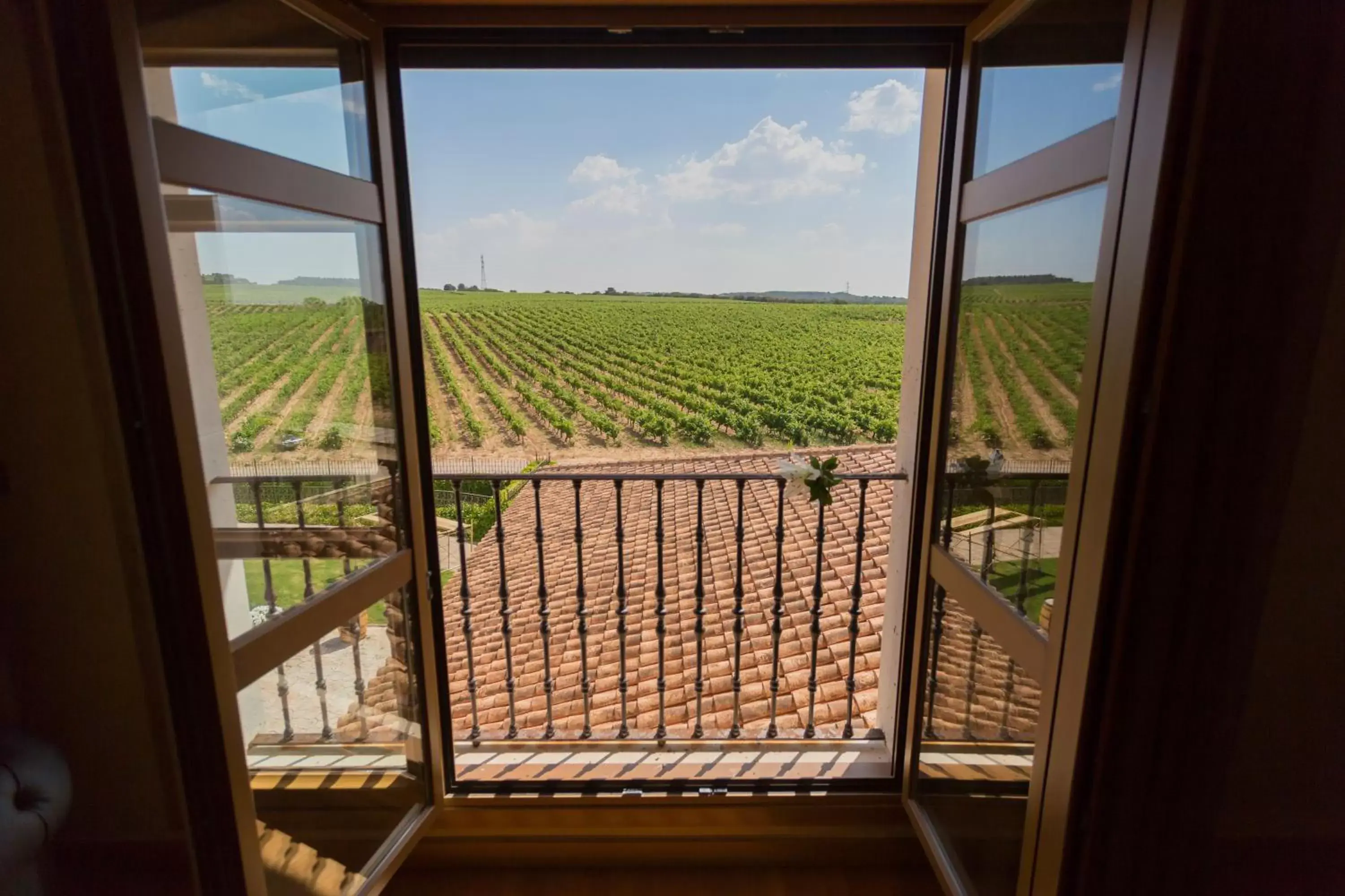 Garden view in Hotel Torremilanos