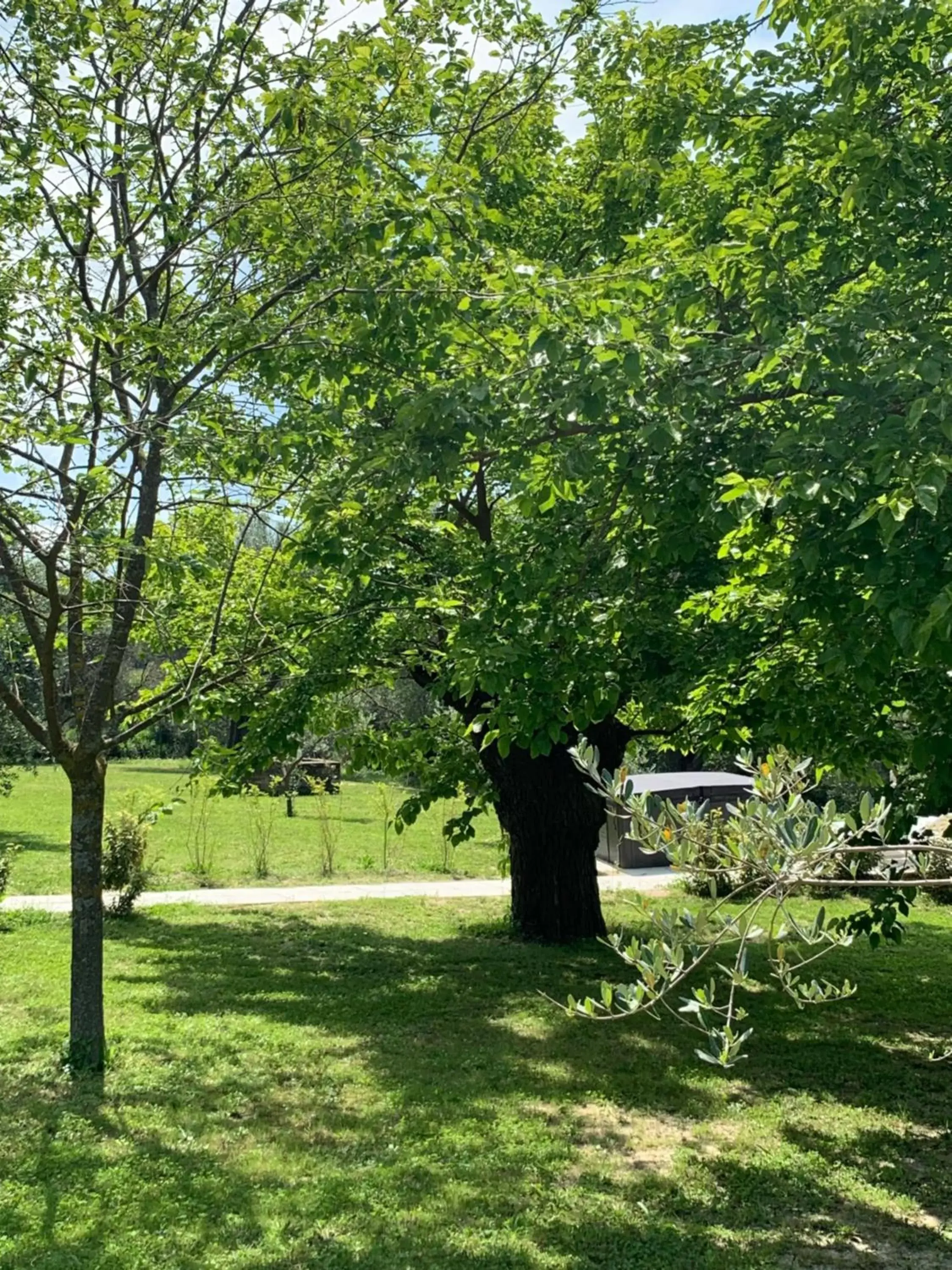 Garden in Il Lauro