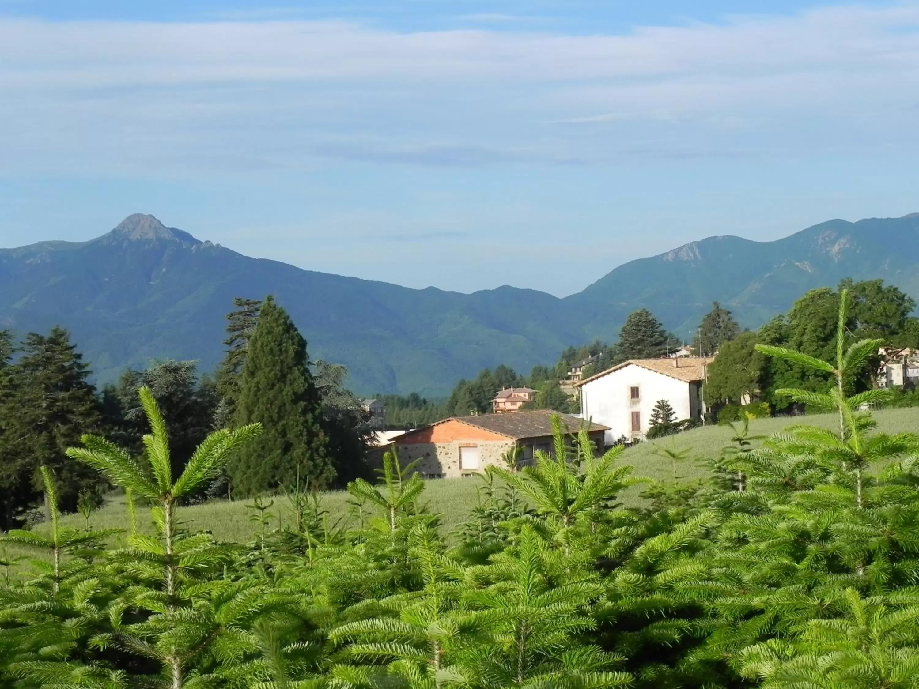 Nearby landmark, Mountain View in Hotel Ripoll