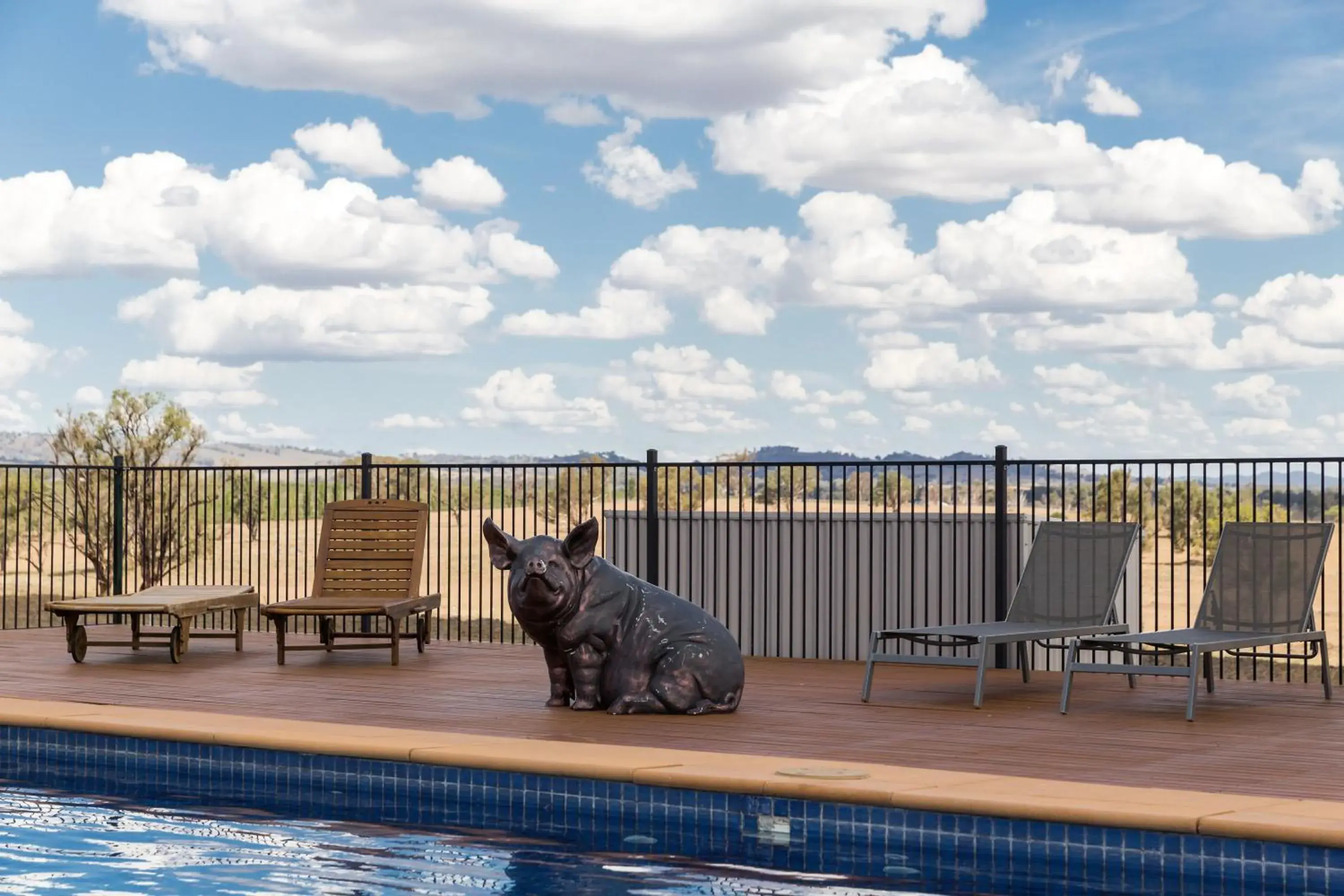 Pool view, Pets in Owl Head Lodge