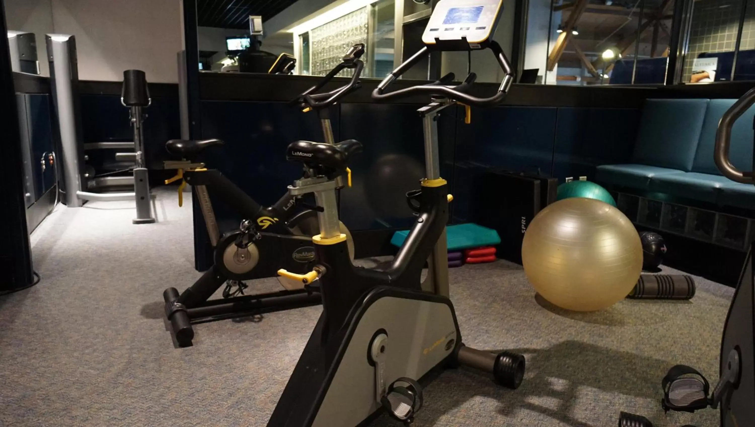 Fitness centre/facilities, Fitness Center/Facilities in Alyeska Resort