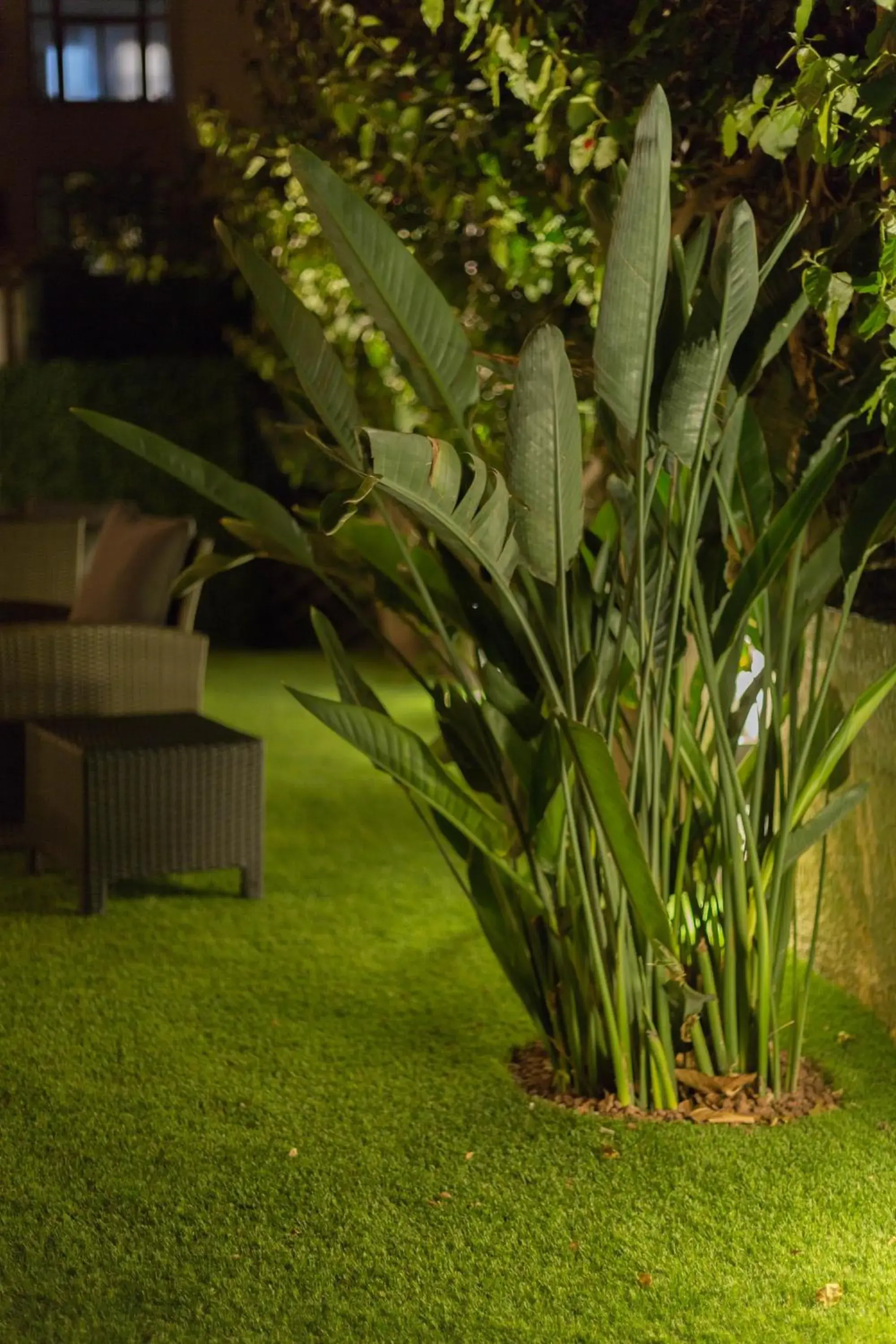 Night, Garden in Hotel Domomea