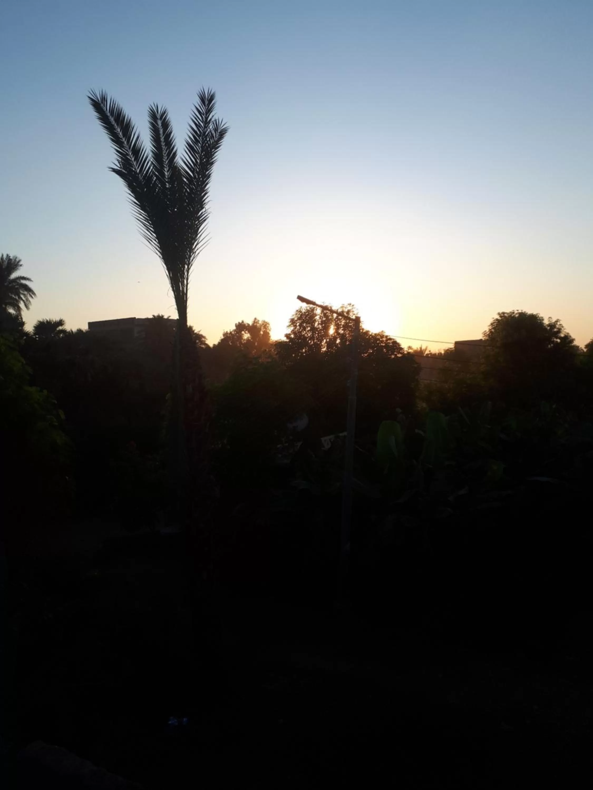 Natural landscape in Al Baeirat Hotel