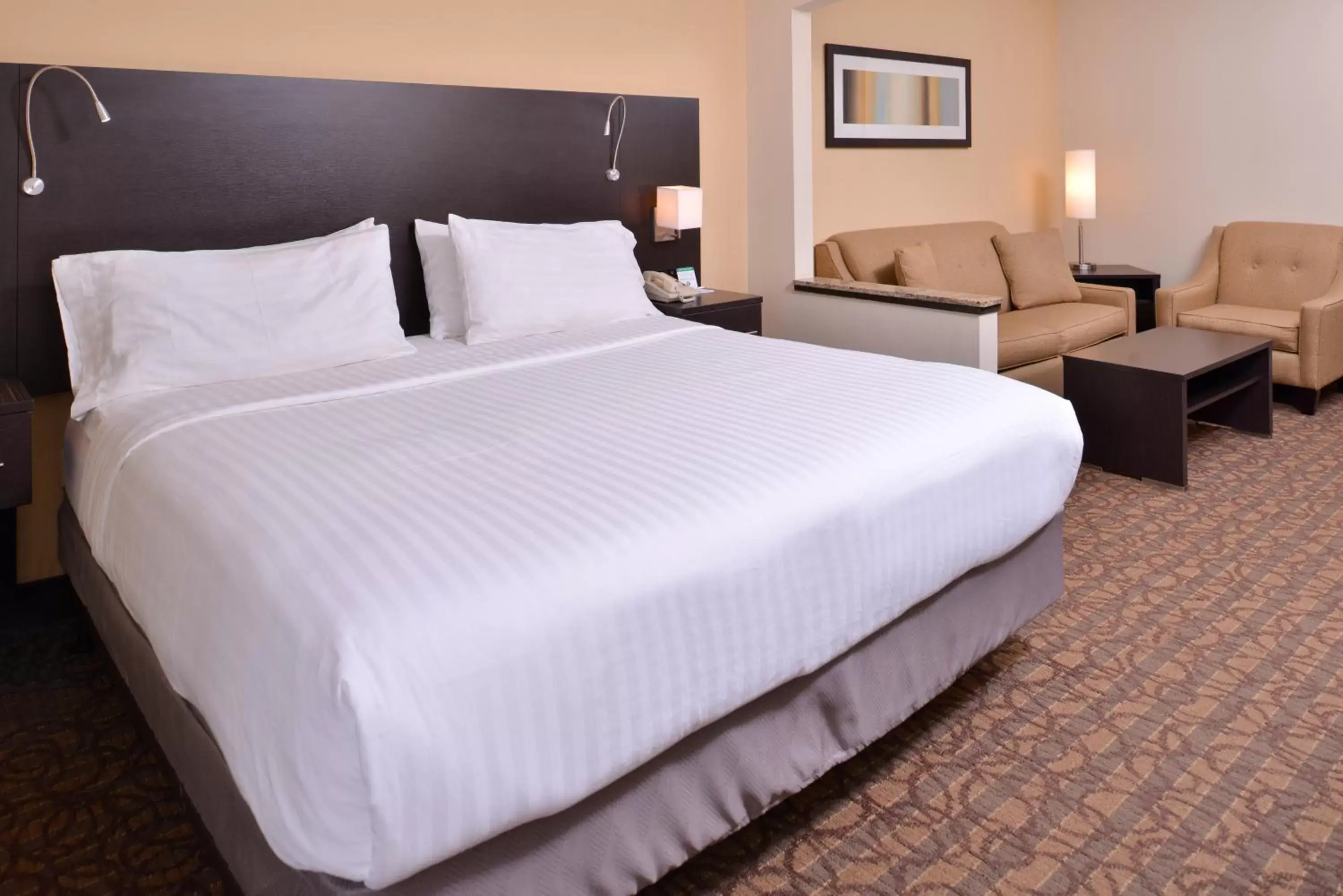 Photo of the whole room, Bed in Holiday Inn Express Hotels & Suites Topeka West, an IHG Hotel