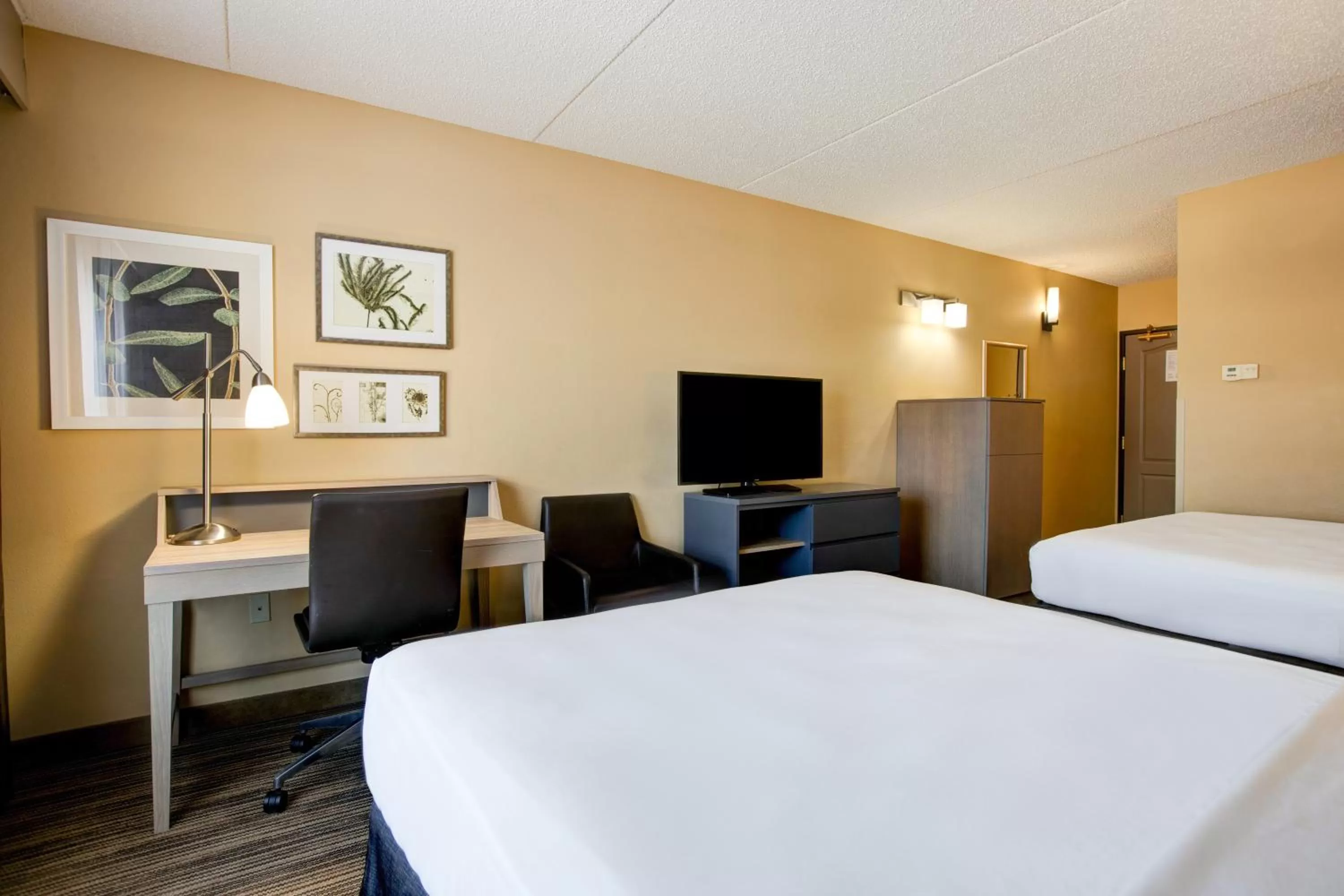 Queen Room with Two Queen Beds - Accessible/Non Smoking in Comfort Inn & Suites St Paul Northeast