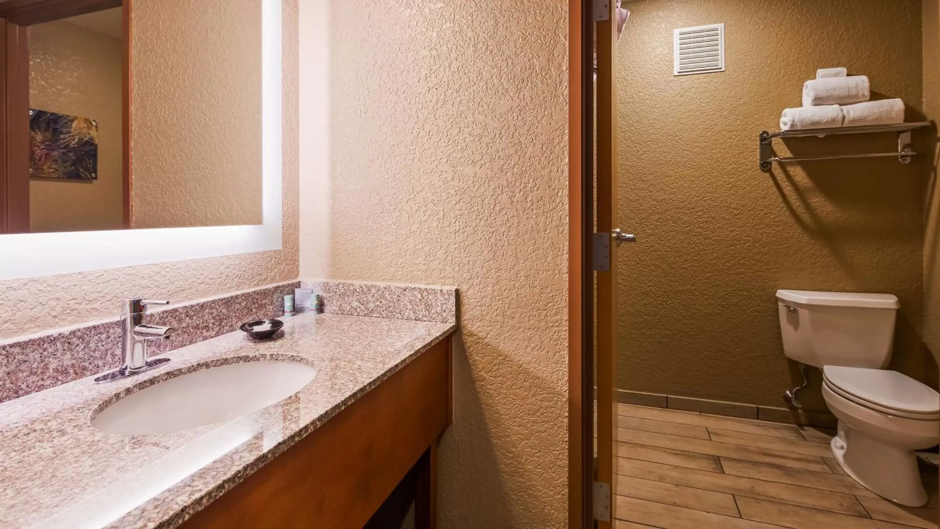 Bathroom in Best Western Harbour Pointe Lakefront