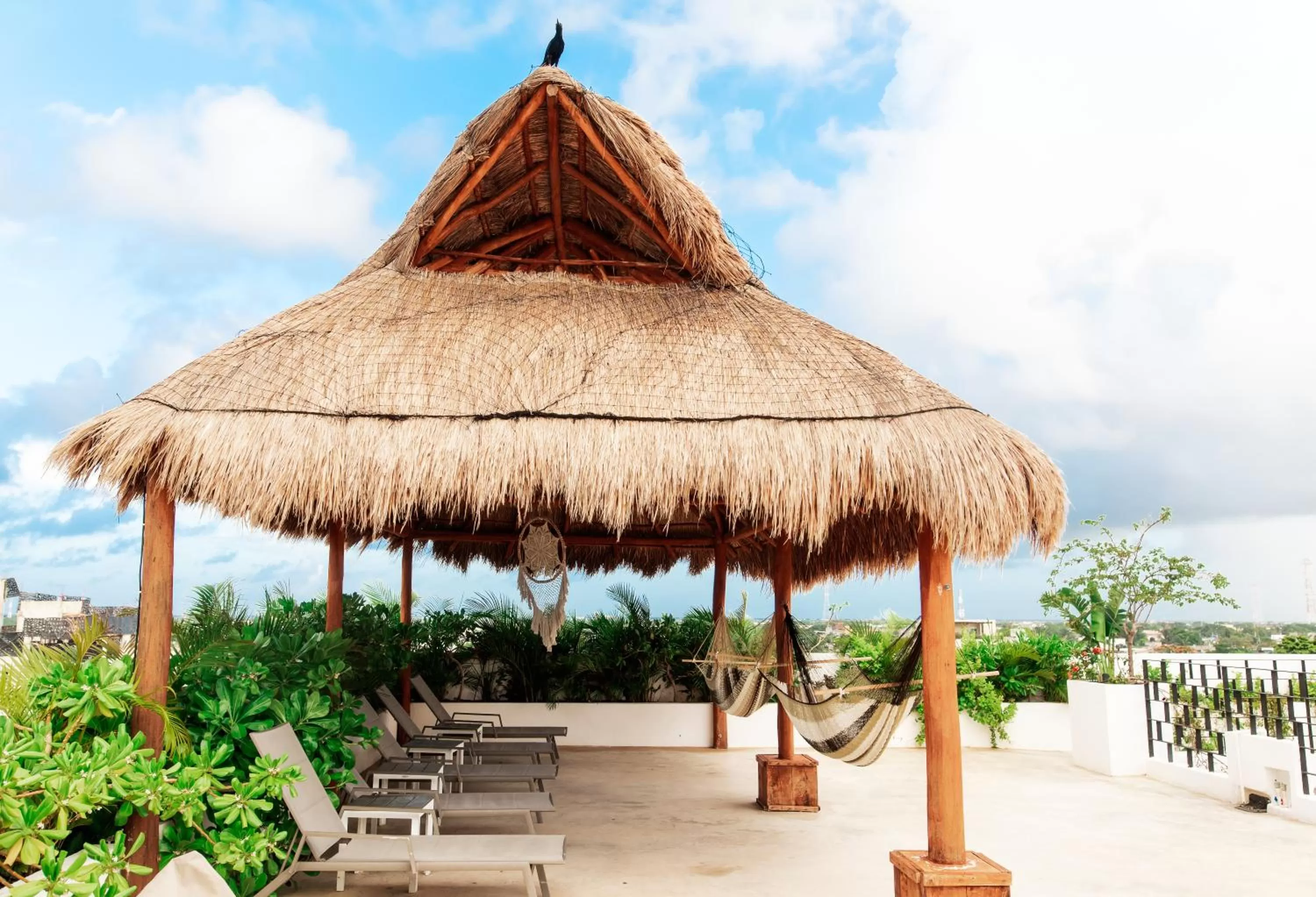 Area and facilities in Hotel 52 Playa del Carmen