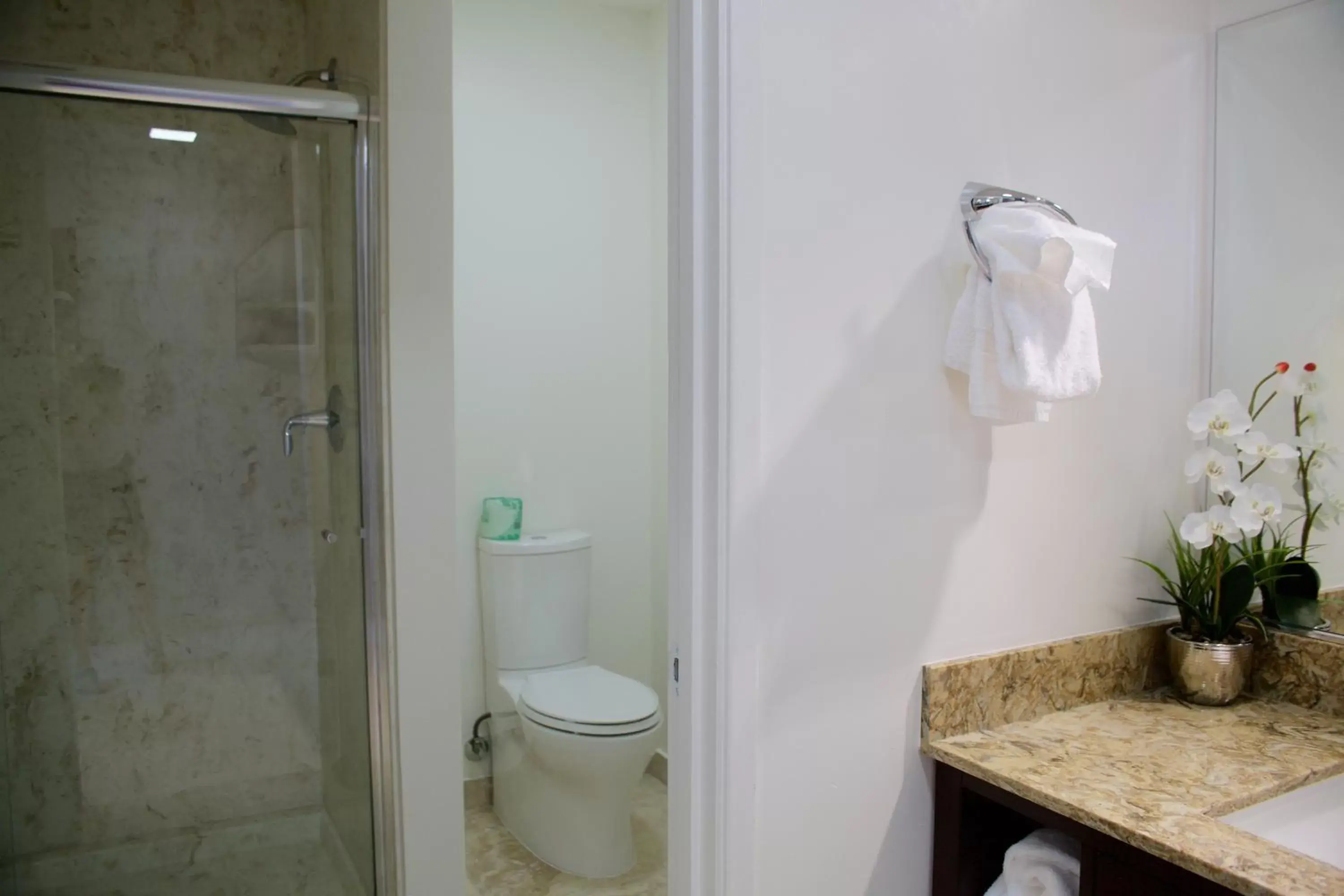 Toilet, Bathroom in Munras Inn