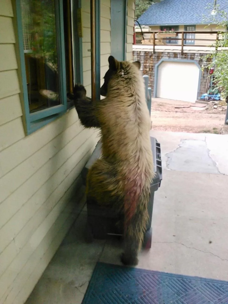 Riversong Inn Retreat