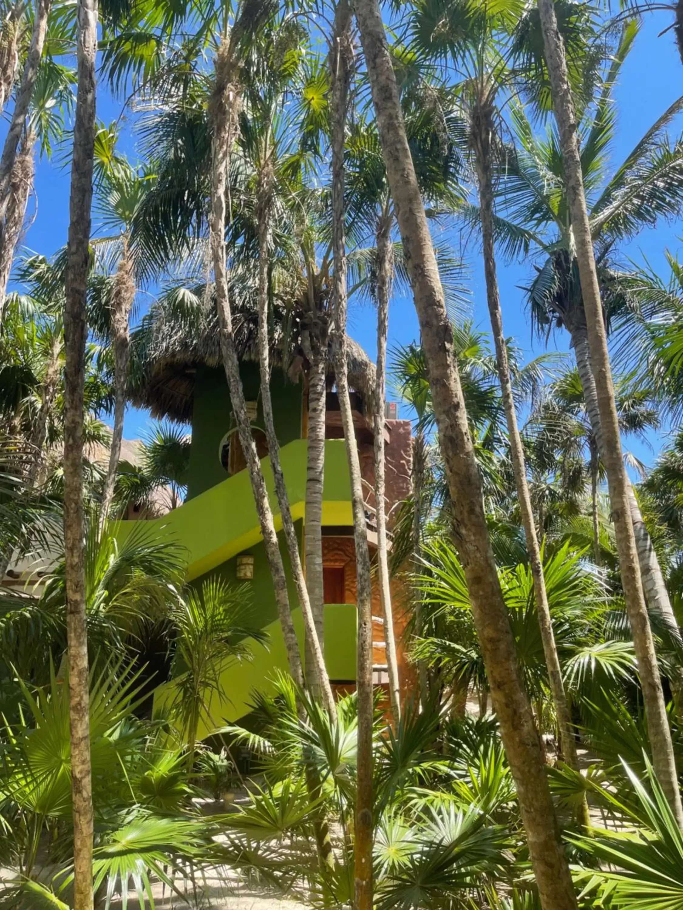 Property building in Sueños Tulum