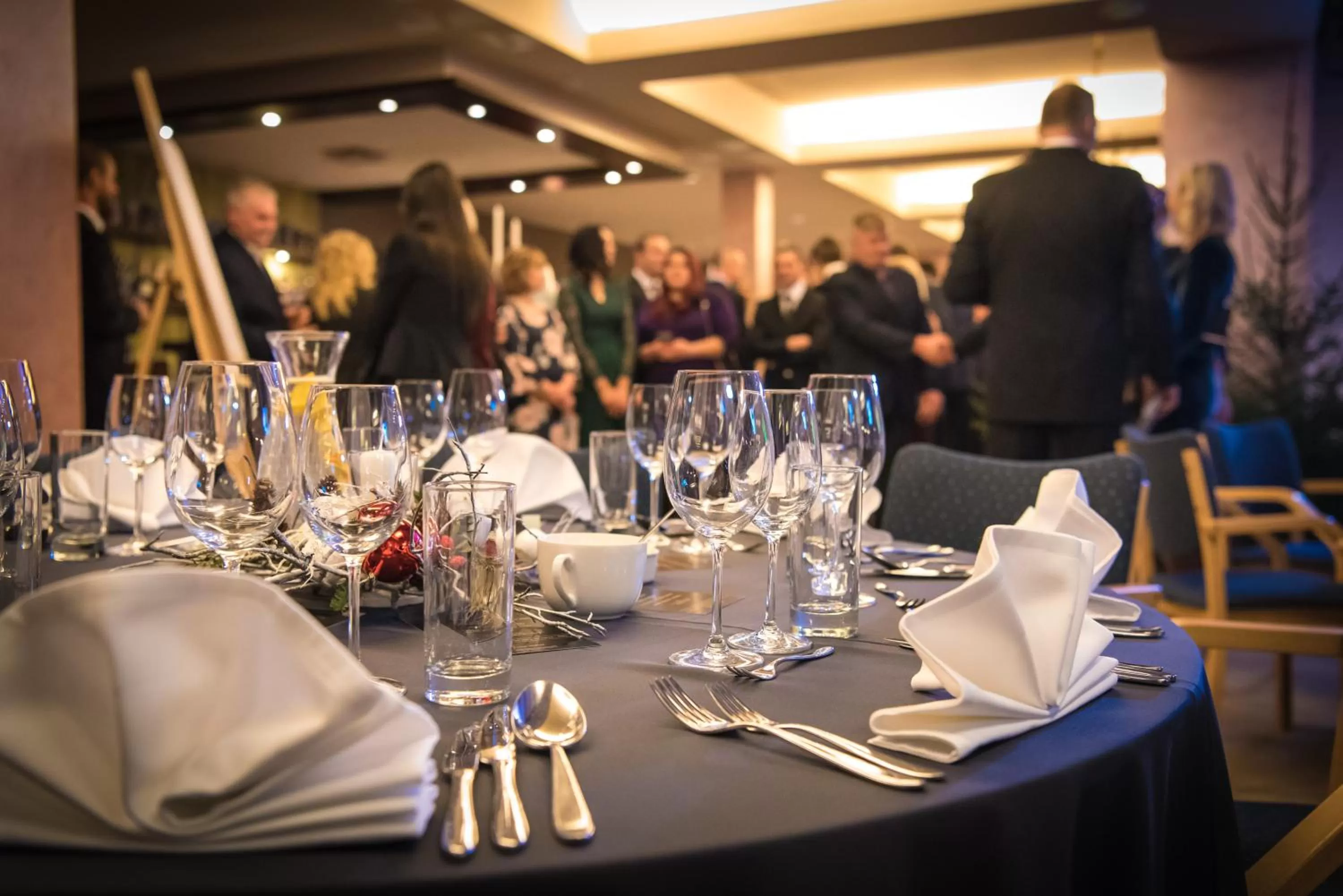 Restaurant/places to eat in Hotel Tigra