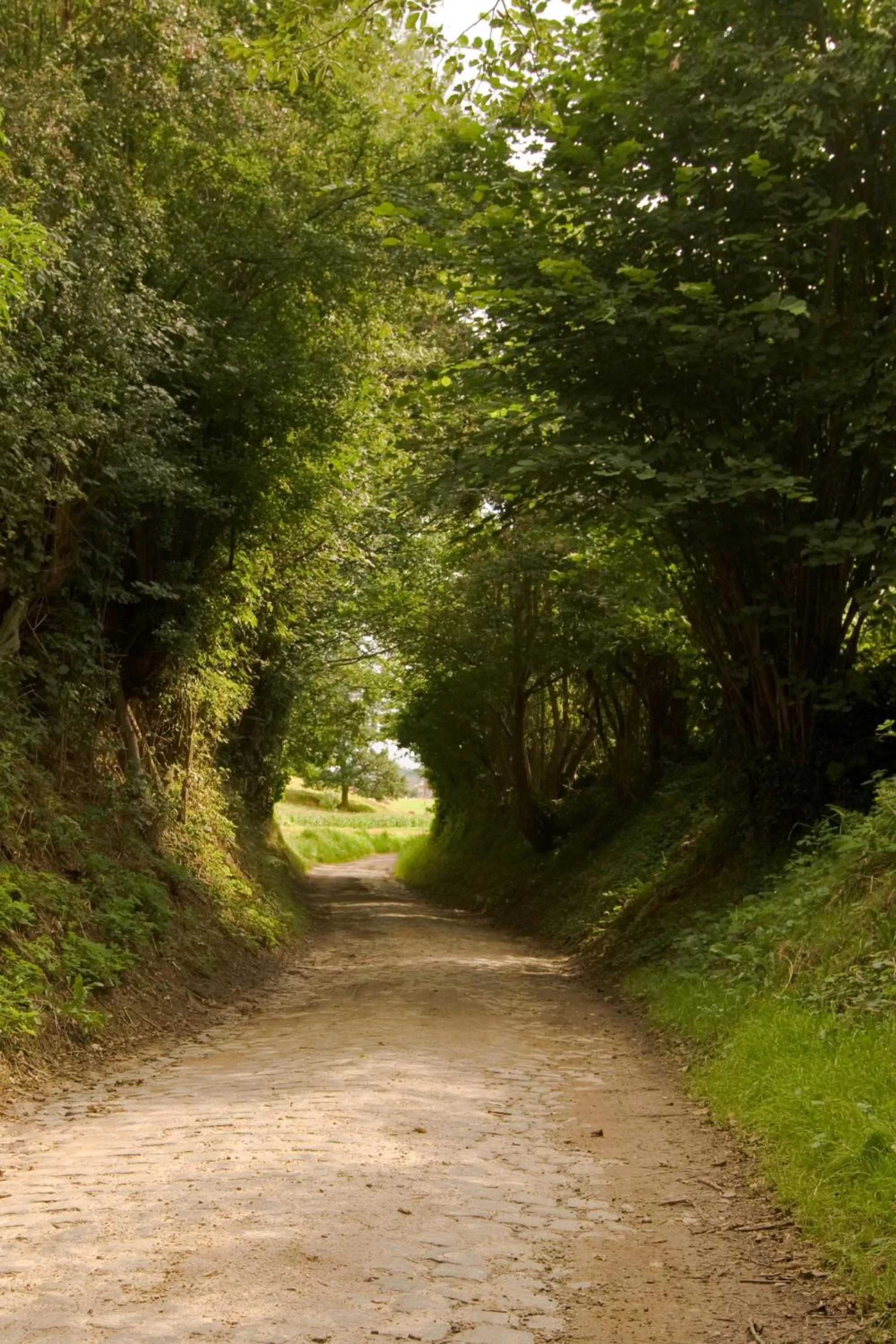 Hiking in Fletcher Hotel-Restaurant De Kempen