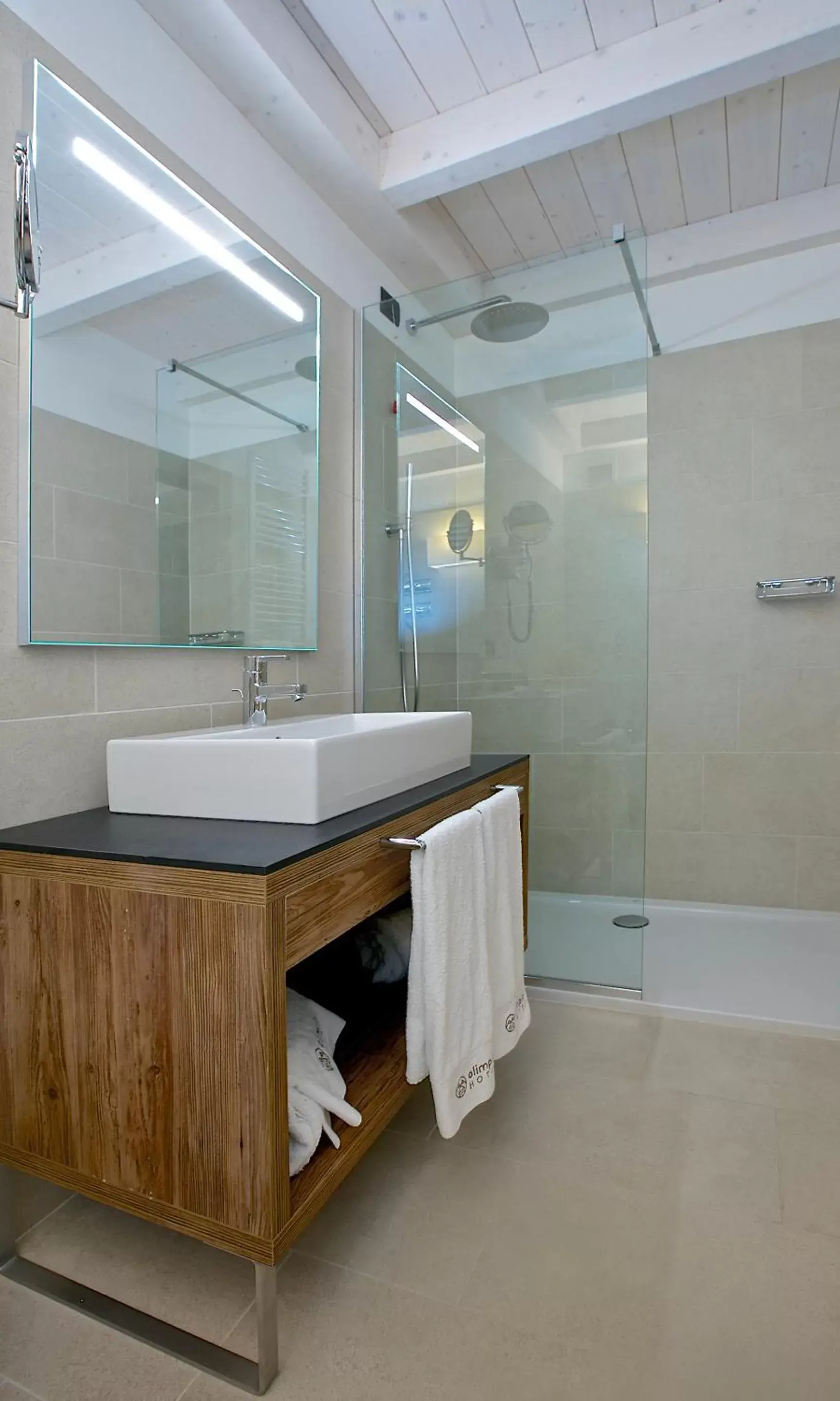 Shower, Bathroom in Olimpia Hotel