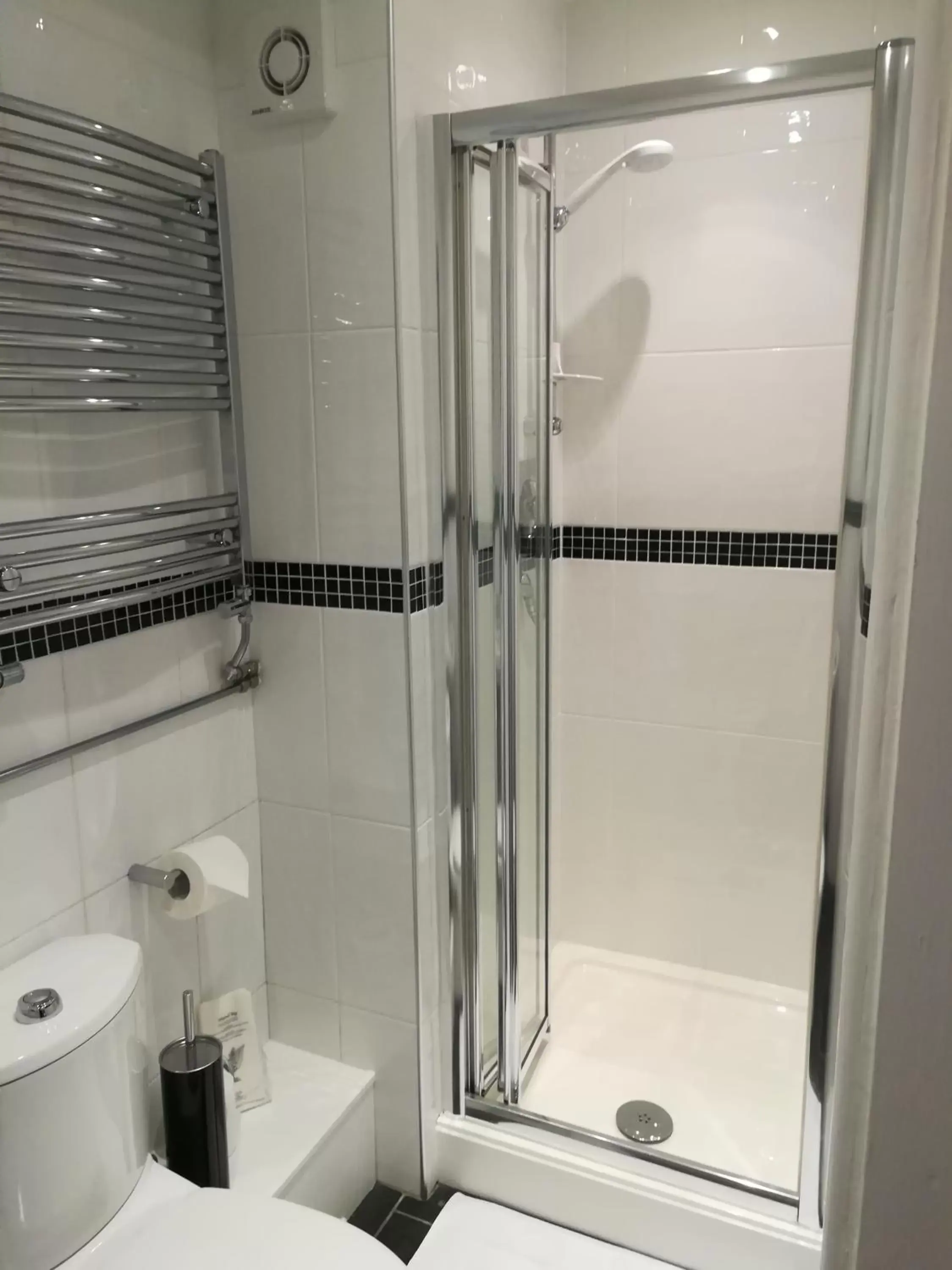 Shower, Bathroom in Aberconwy House B&B