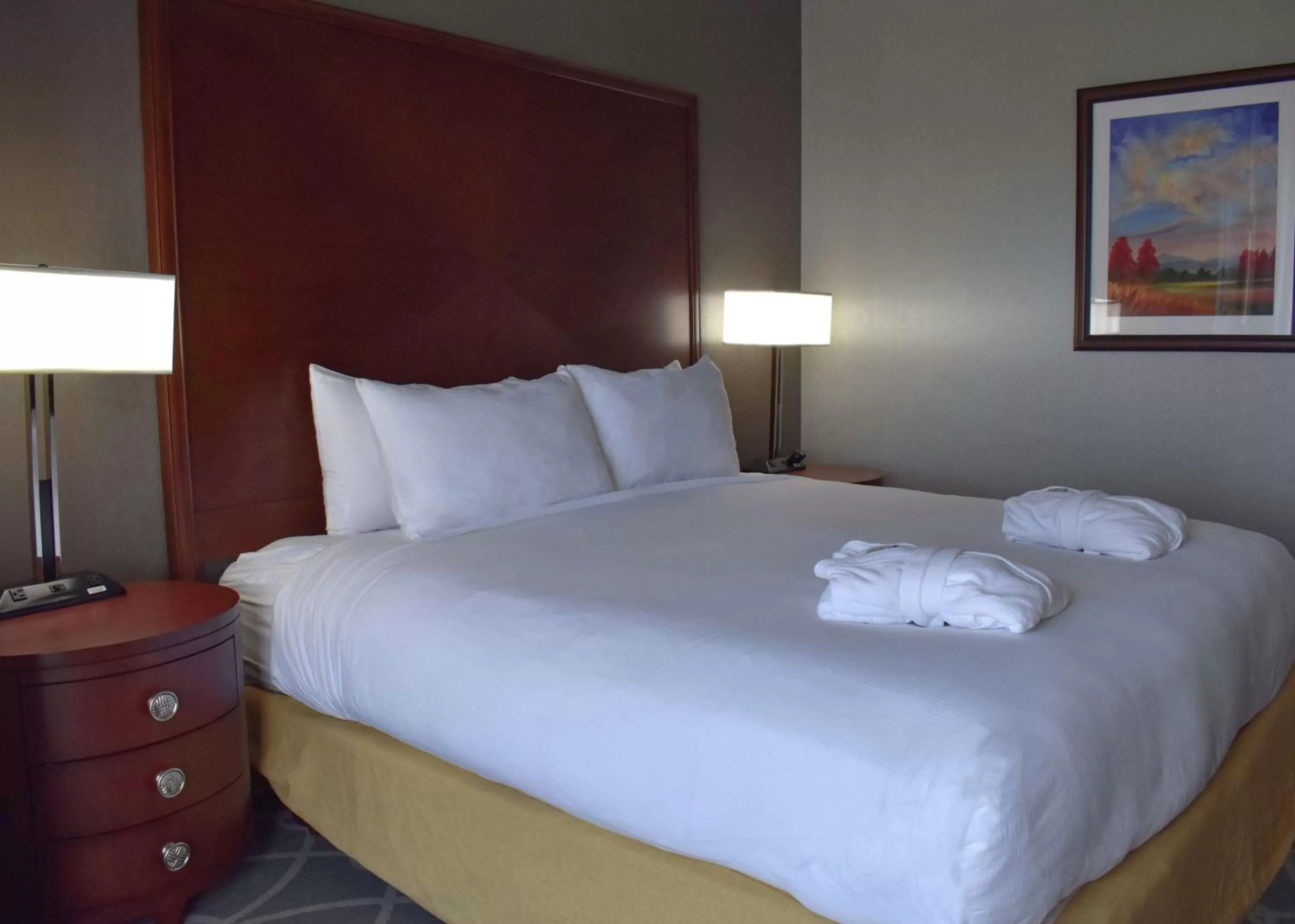 Bed in DoubleTree by Hilton Biltmore/Asheville