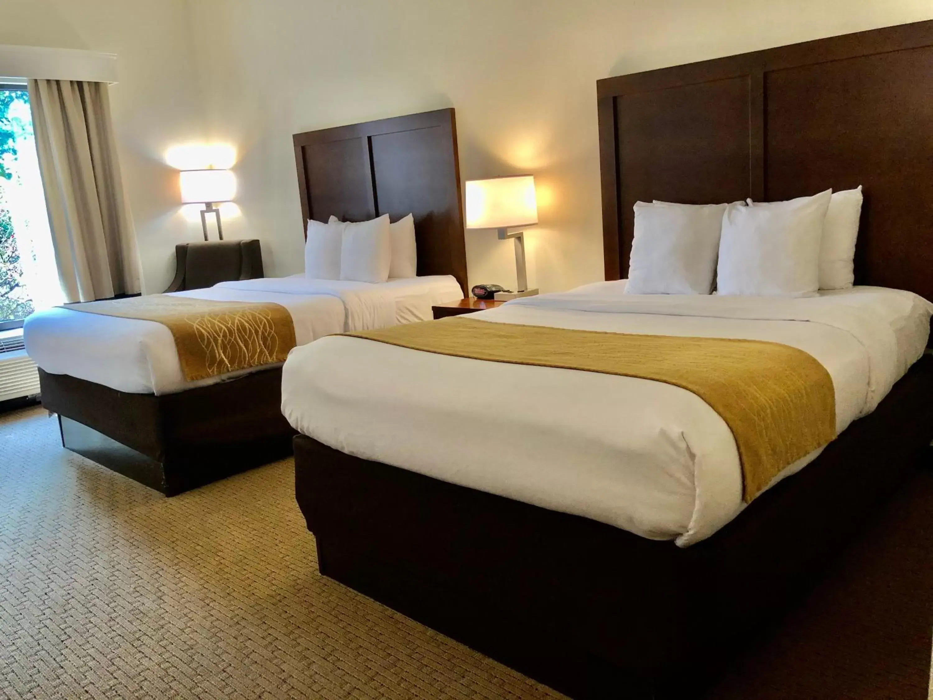 Guests, Bed in Comfort Inn & Suites Rogersville