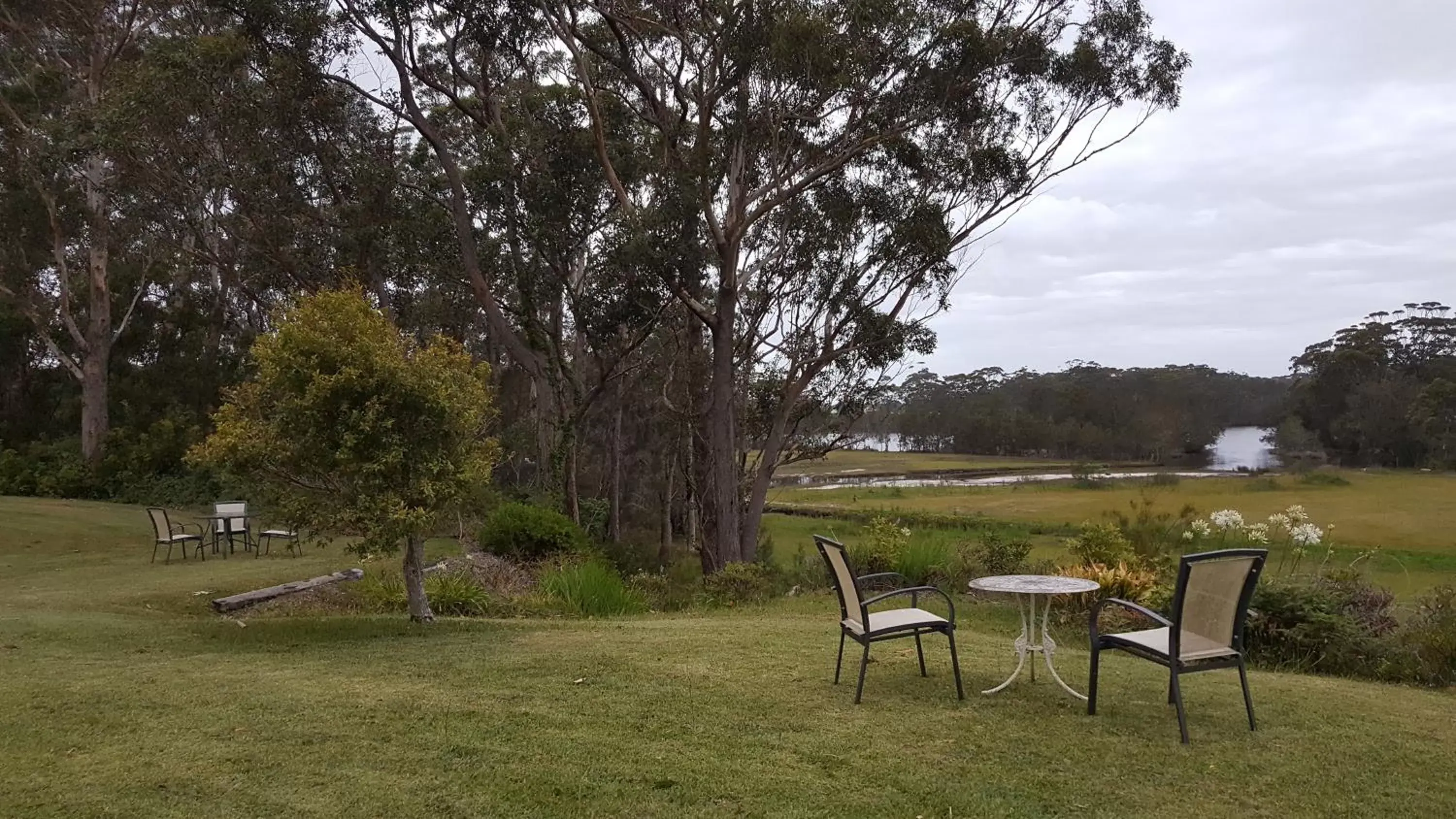 Garden in Tabourie Lake Motor Inn