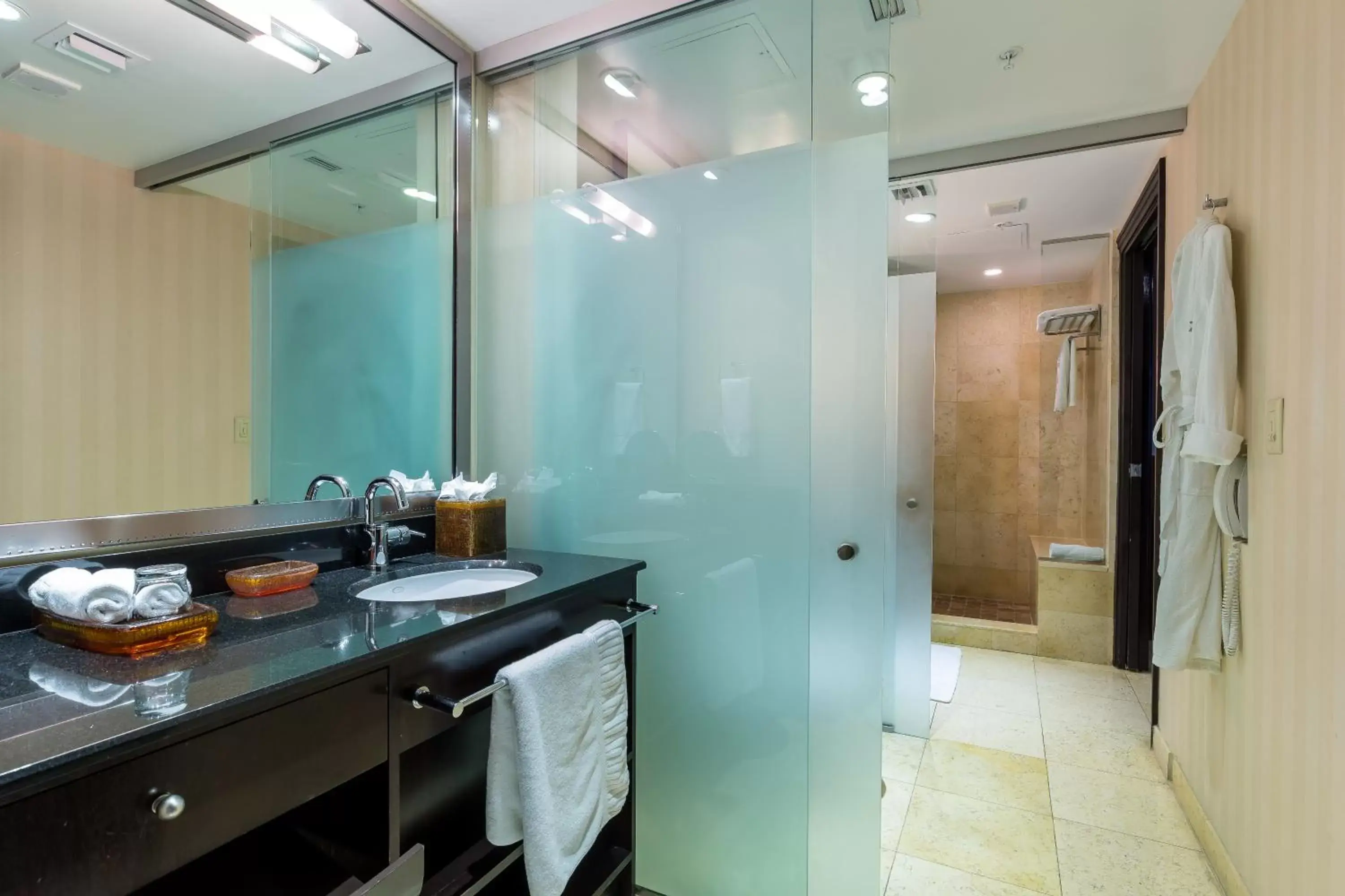 Bathroom, Kitchen/Kitchenette in SBV Luxury Ocean Hotel Suites
