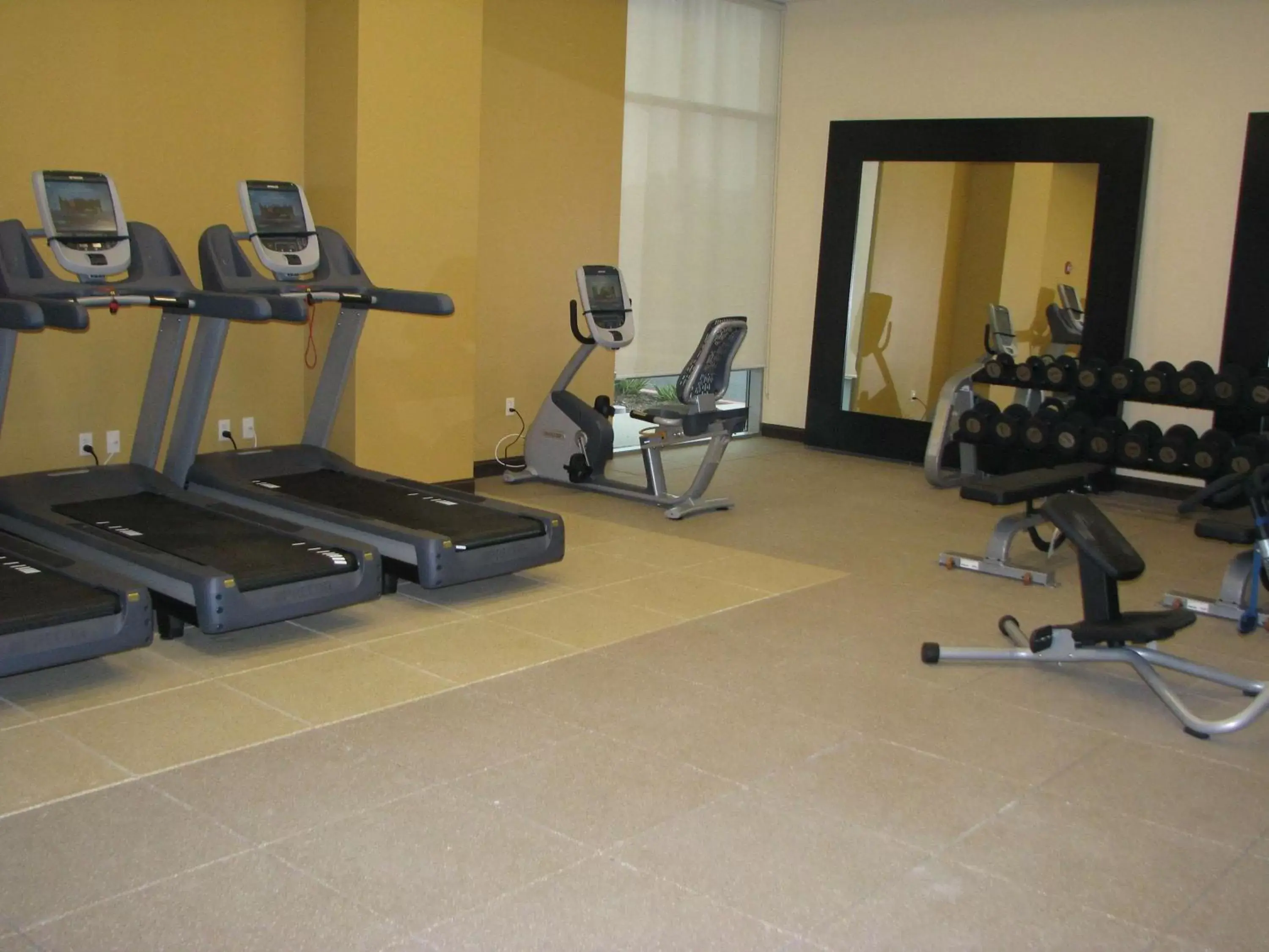 Fitness centre/facilities, Fitness Center/Facilities in Embassy Suites Ontario - Airport