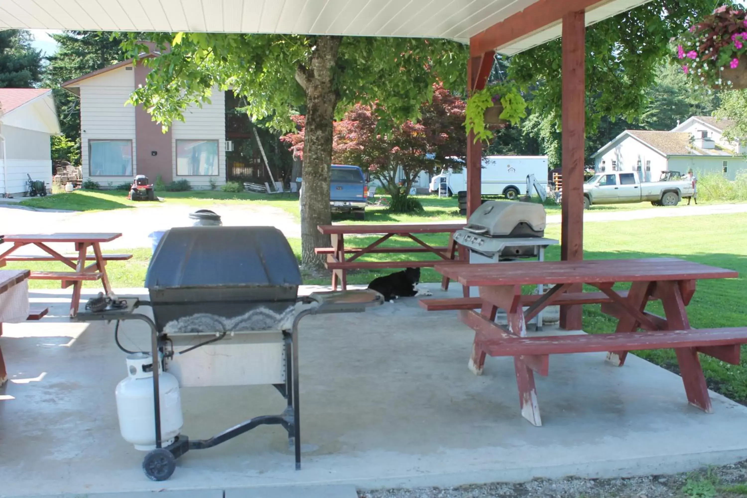 BBQ facilities in Paradise Motel