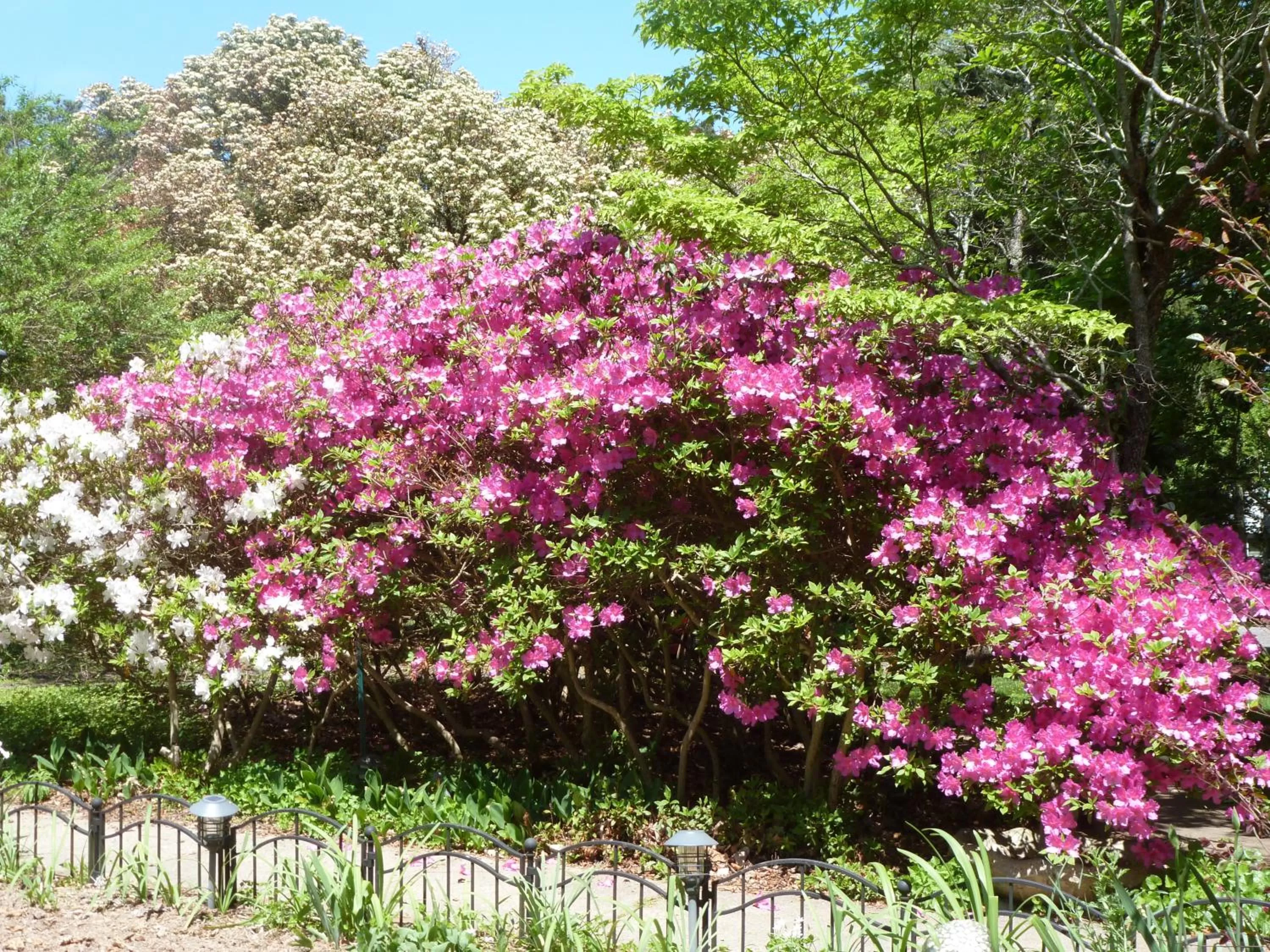 Garden in Back INN Time B&B