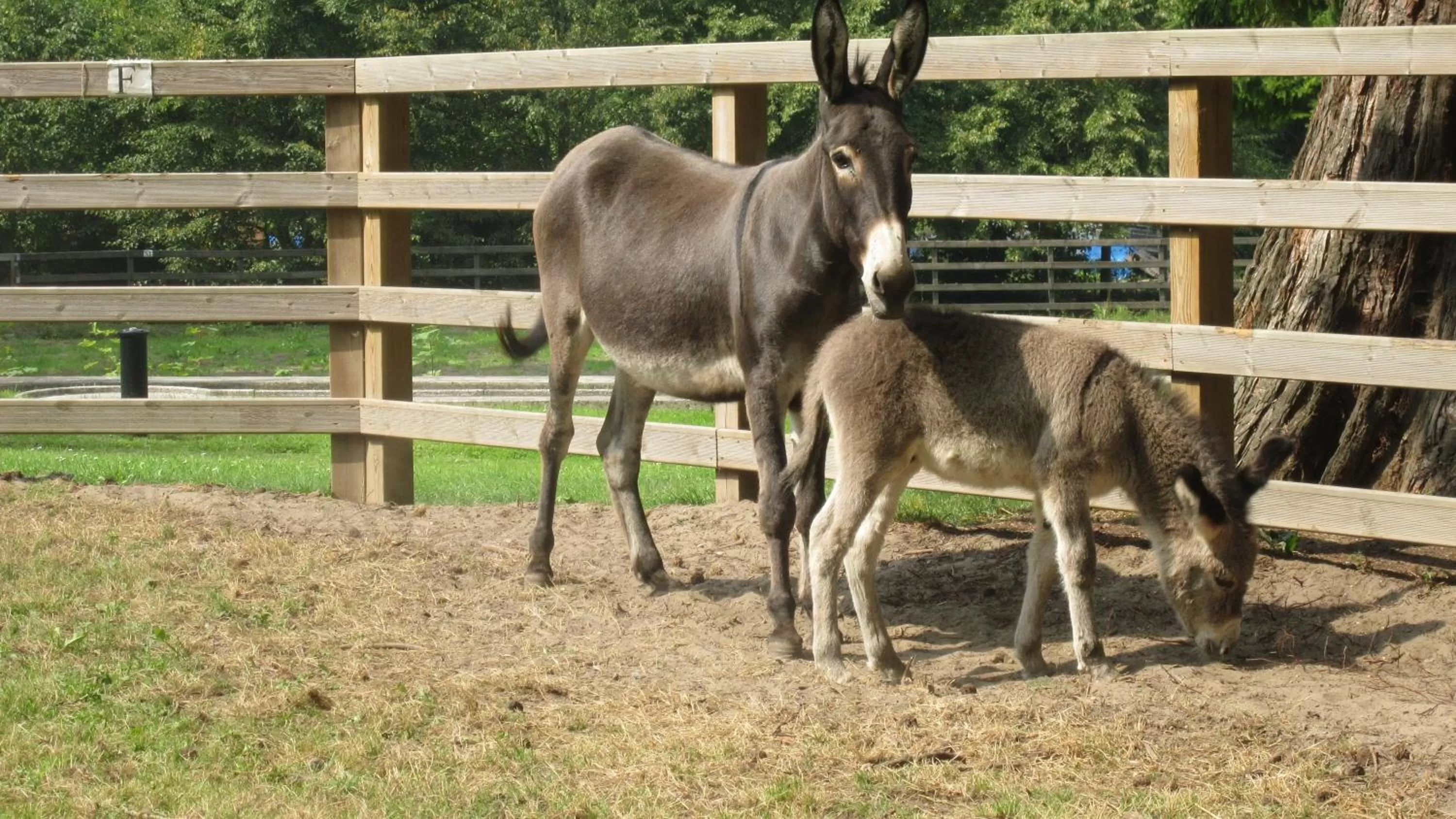 Activities in Centre Bol Vert