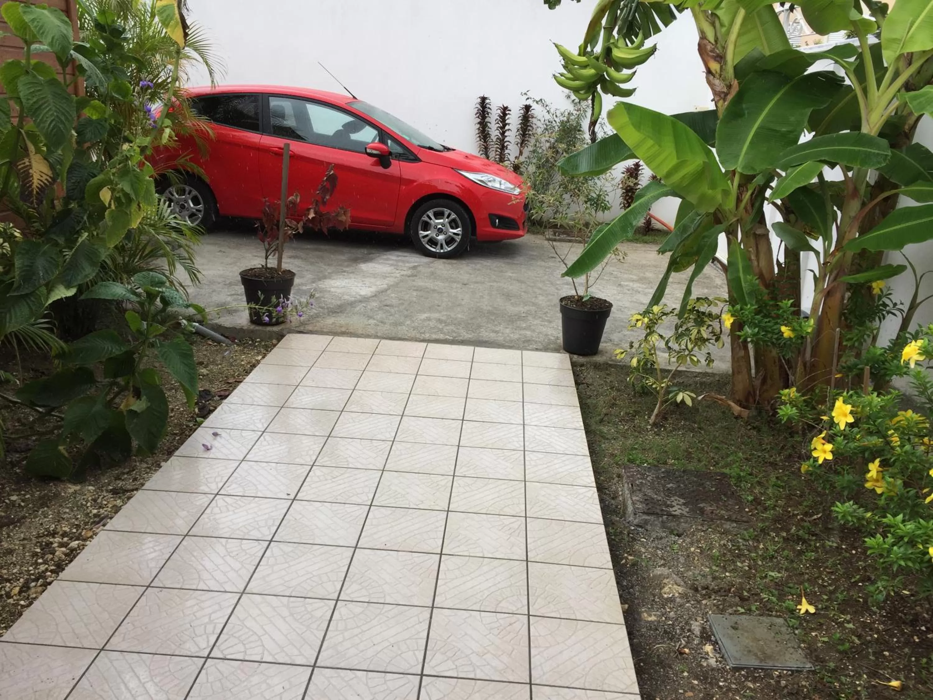 Garden view in Le Saint Georges