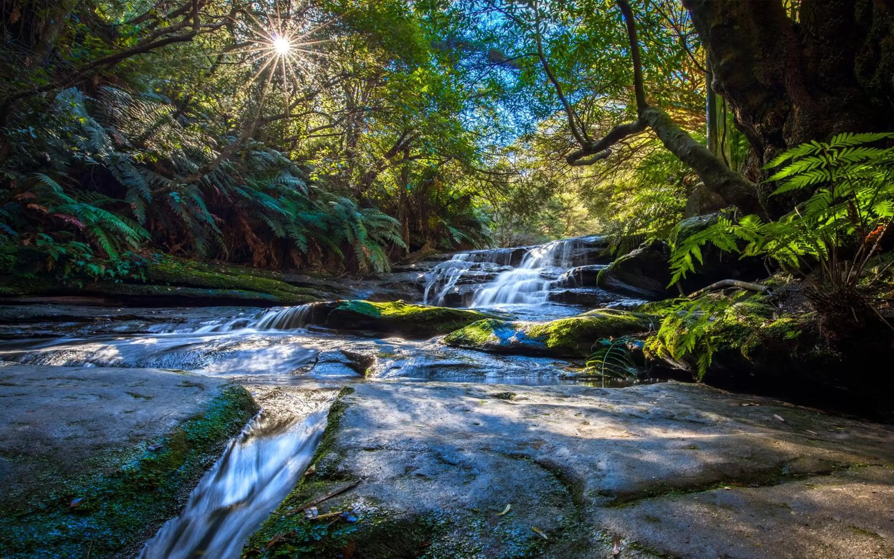 Natural landscape in Sky Rider Motor Inn