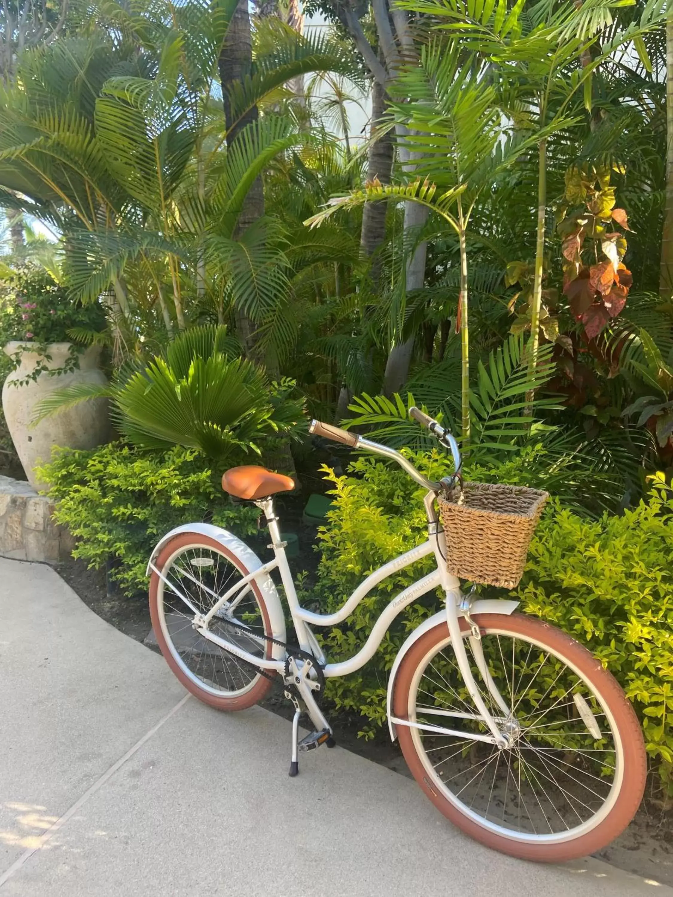 Cycling in One&Only Palmilla