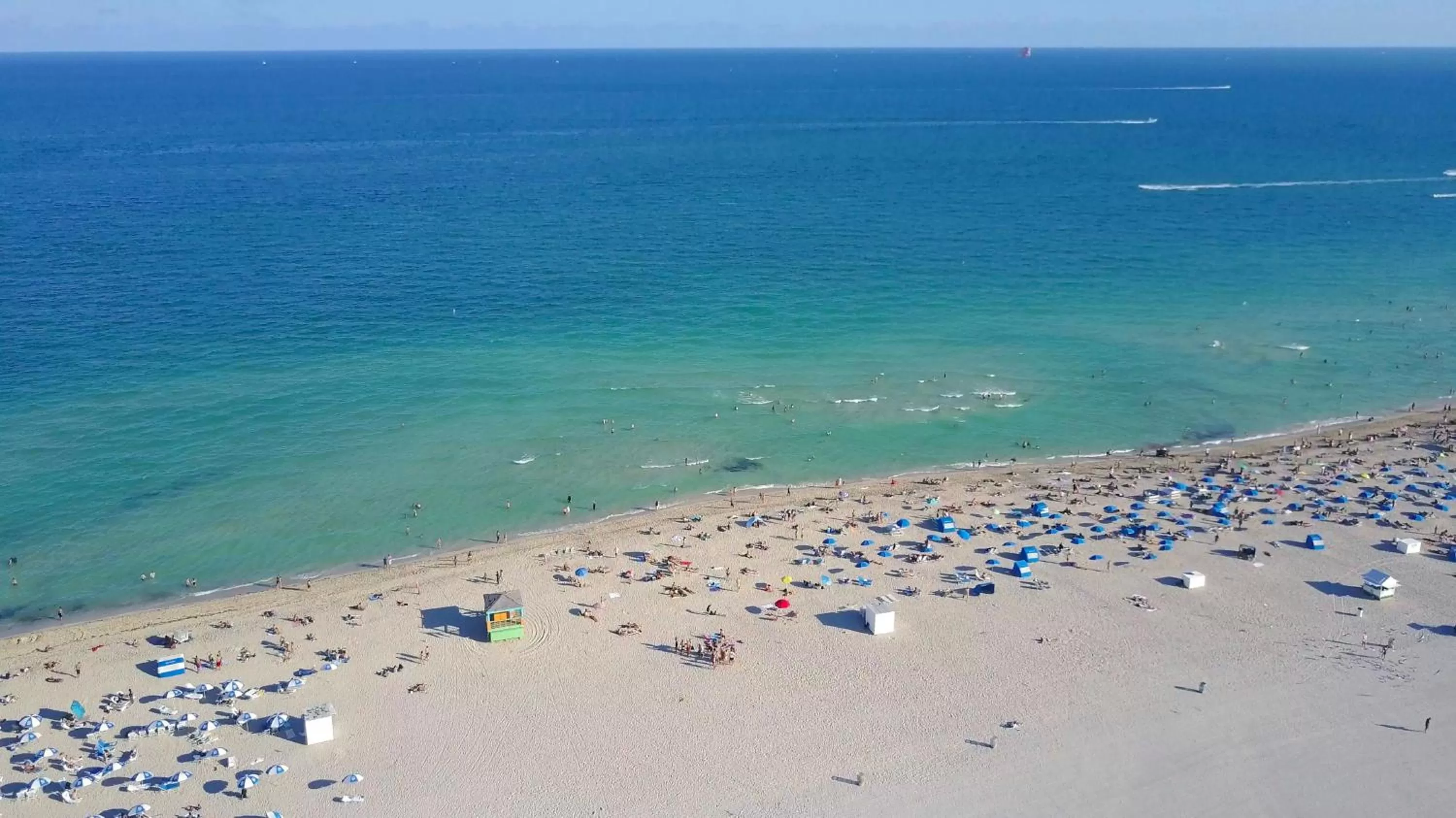 Beach in The Donovan at Miami Beach