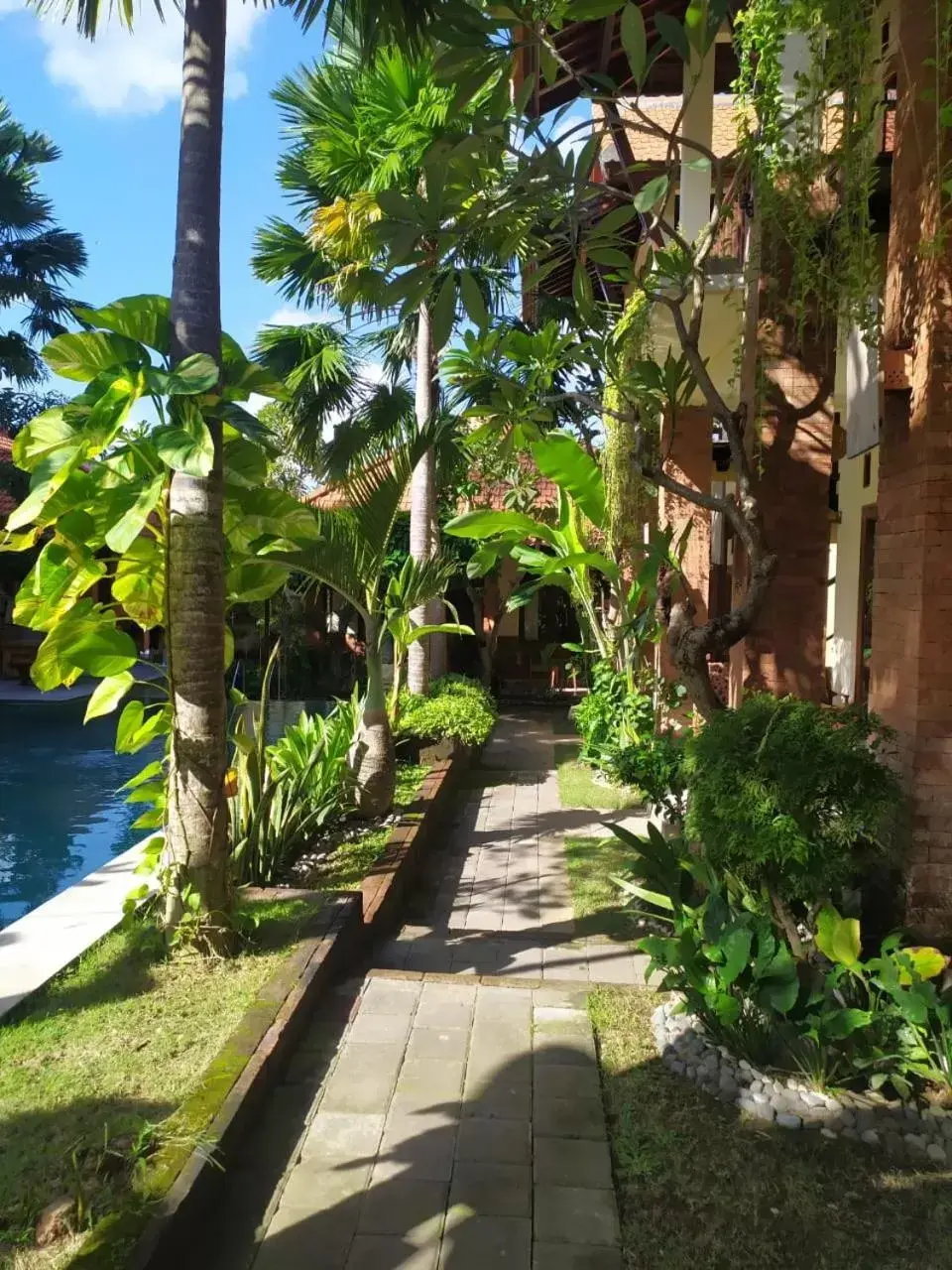 Garden in Mina Pelasa Hotel