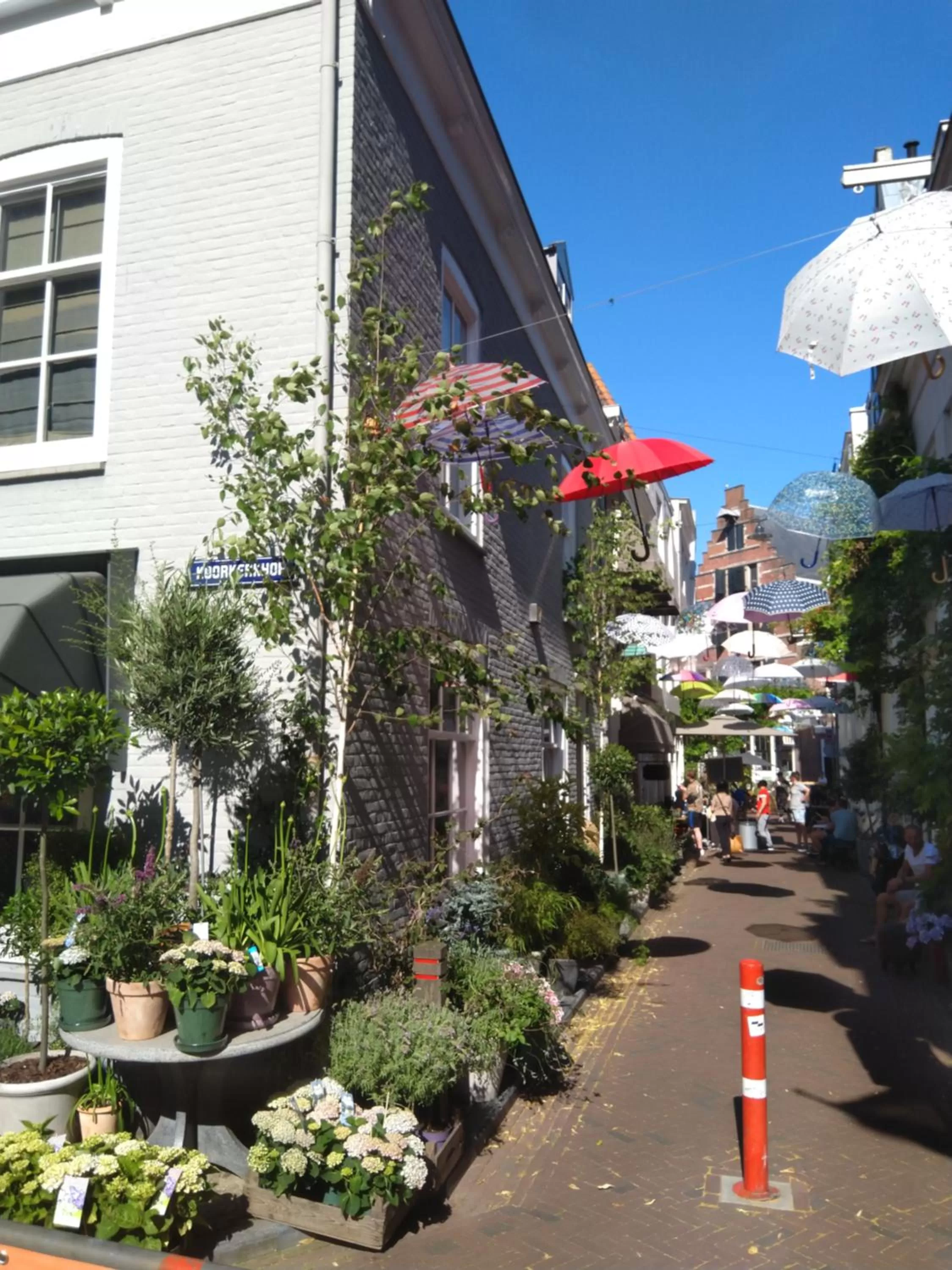 Other in Maizon Middelburg