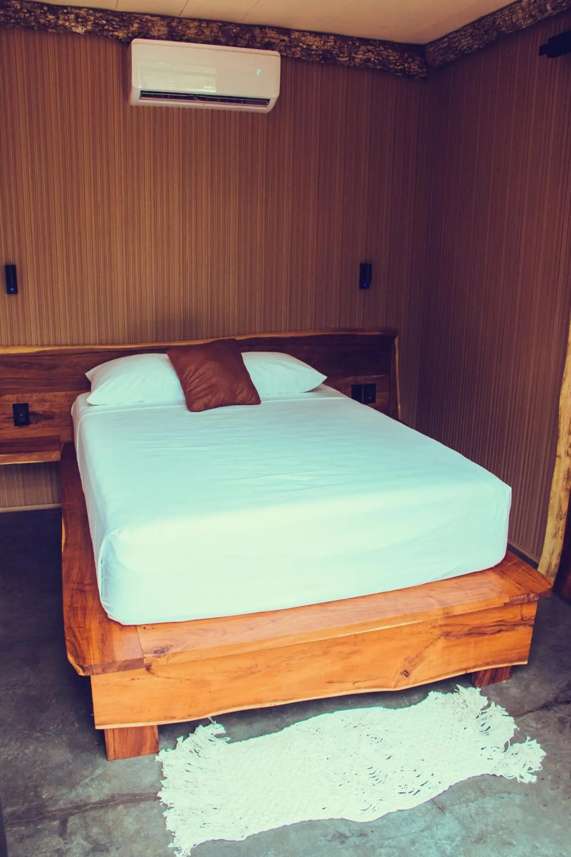 Bed in Bufo Alvarius