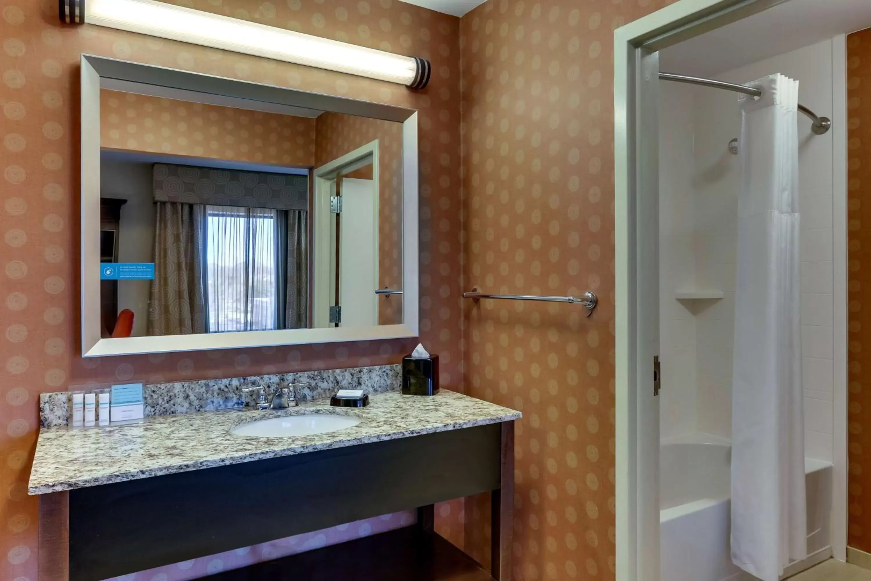 Bathroom in Hampton Inn & Suites - Hartsville, SC