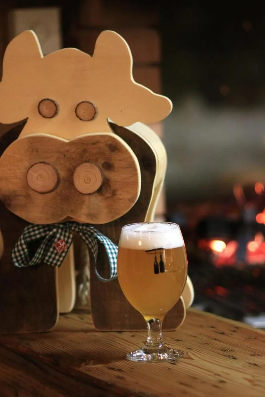 Alcoholic drinks in Garnì Ladin