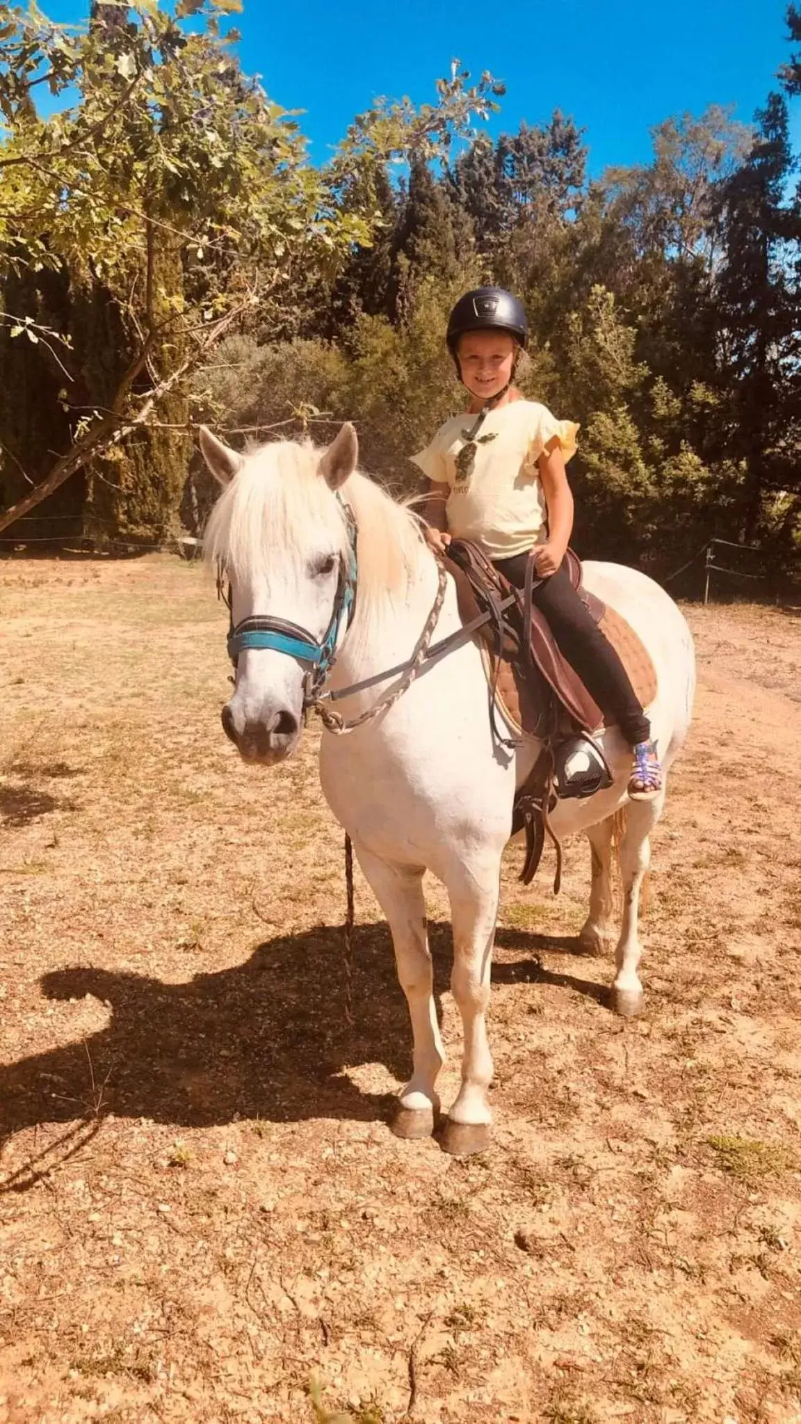 Horse-riding, Horseback Riding in Chambre d'hôtes dans propriété rurale - Provence