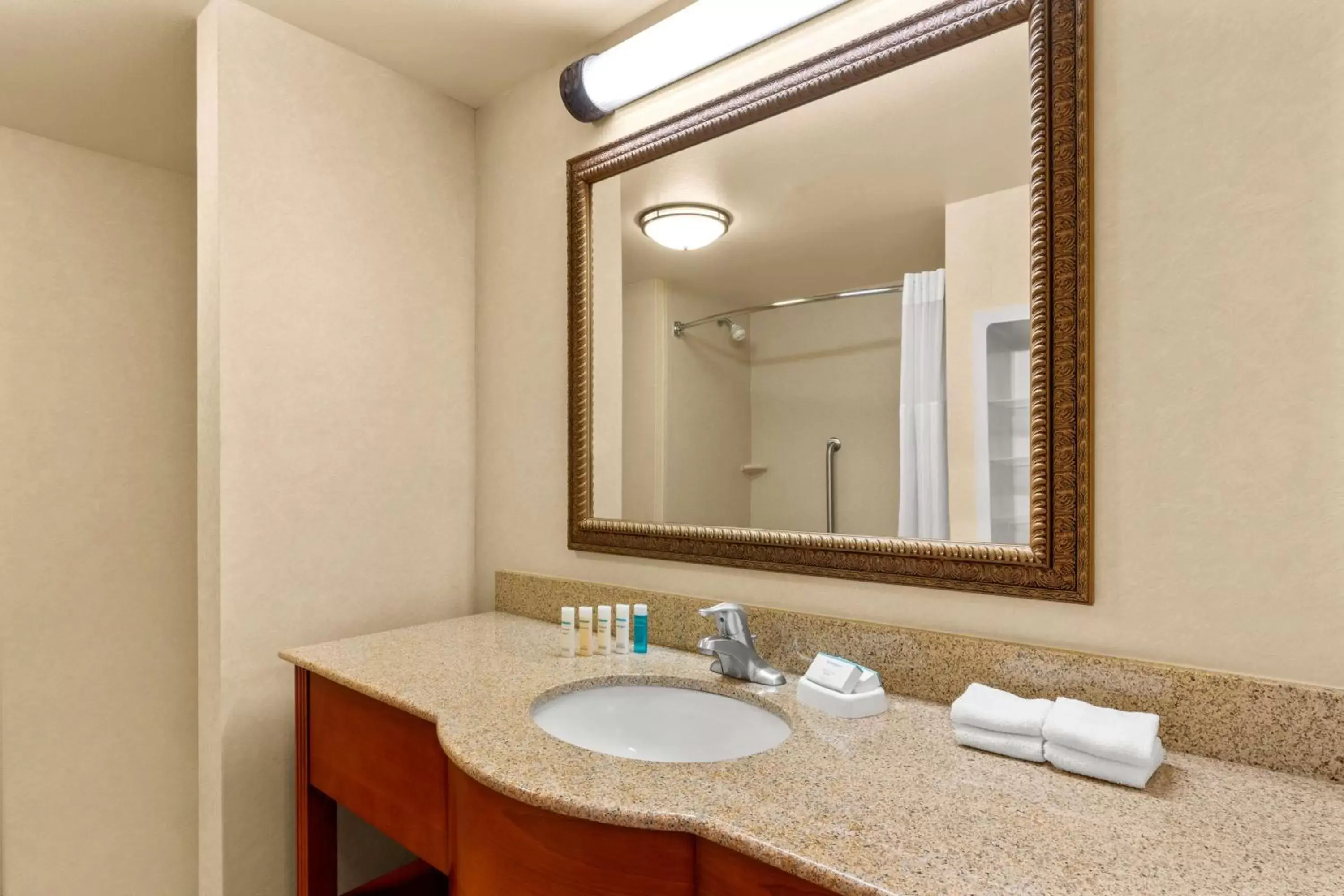 Bathroom in Hampton Inn & Suites Burlington