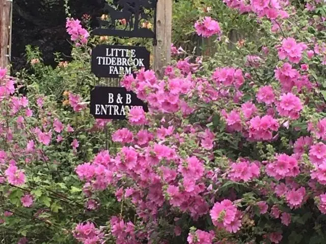 Facade/entrance in Little Tidebrook Farm