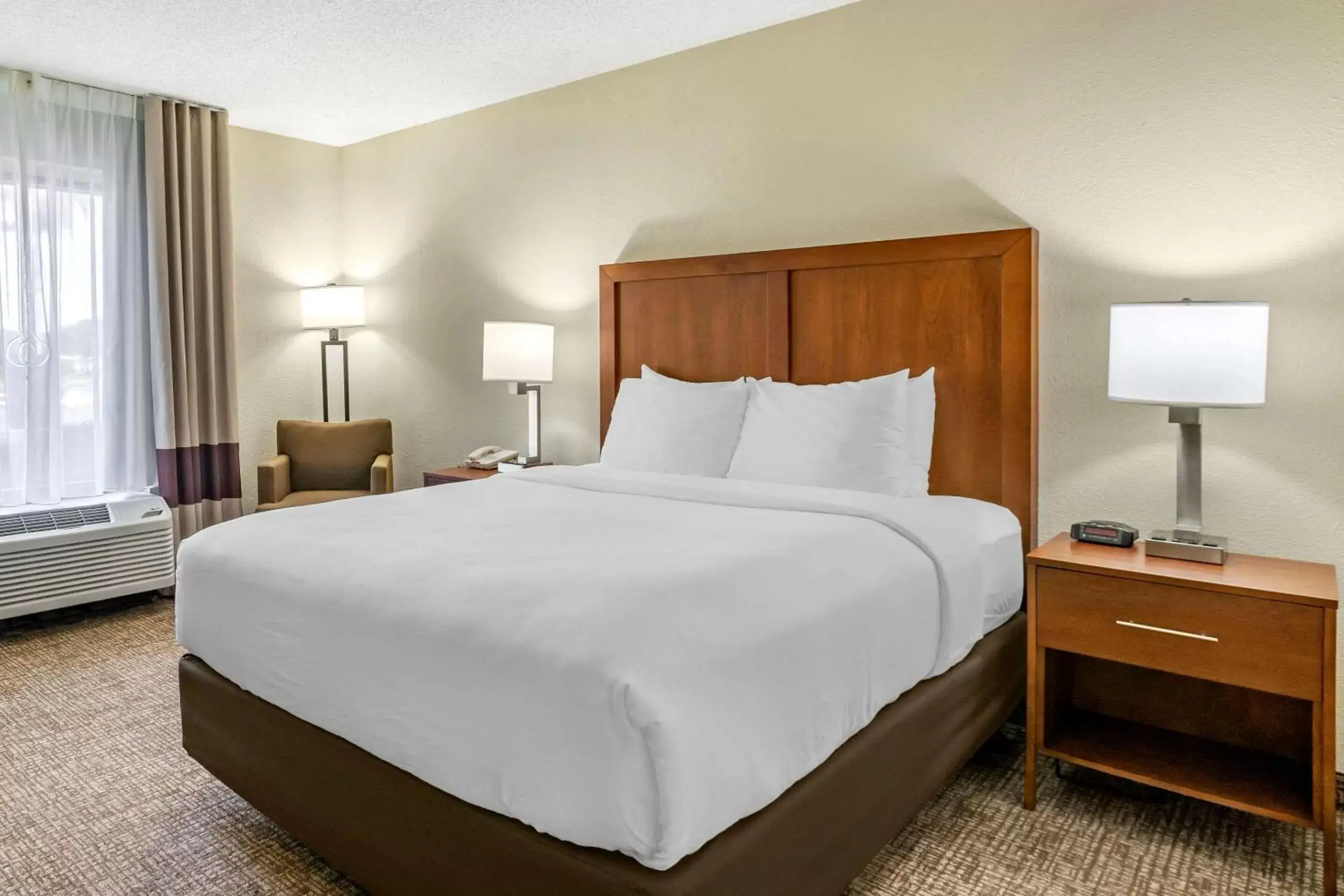 Photo of the whole room, Bed in Comfort Inn & Suites St Pete - Clearwater International Airport